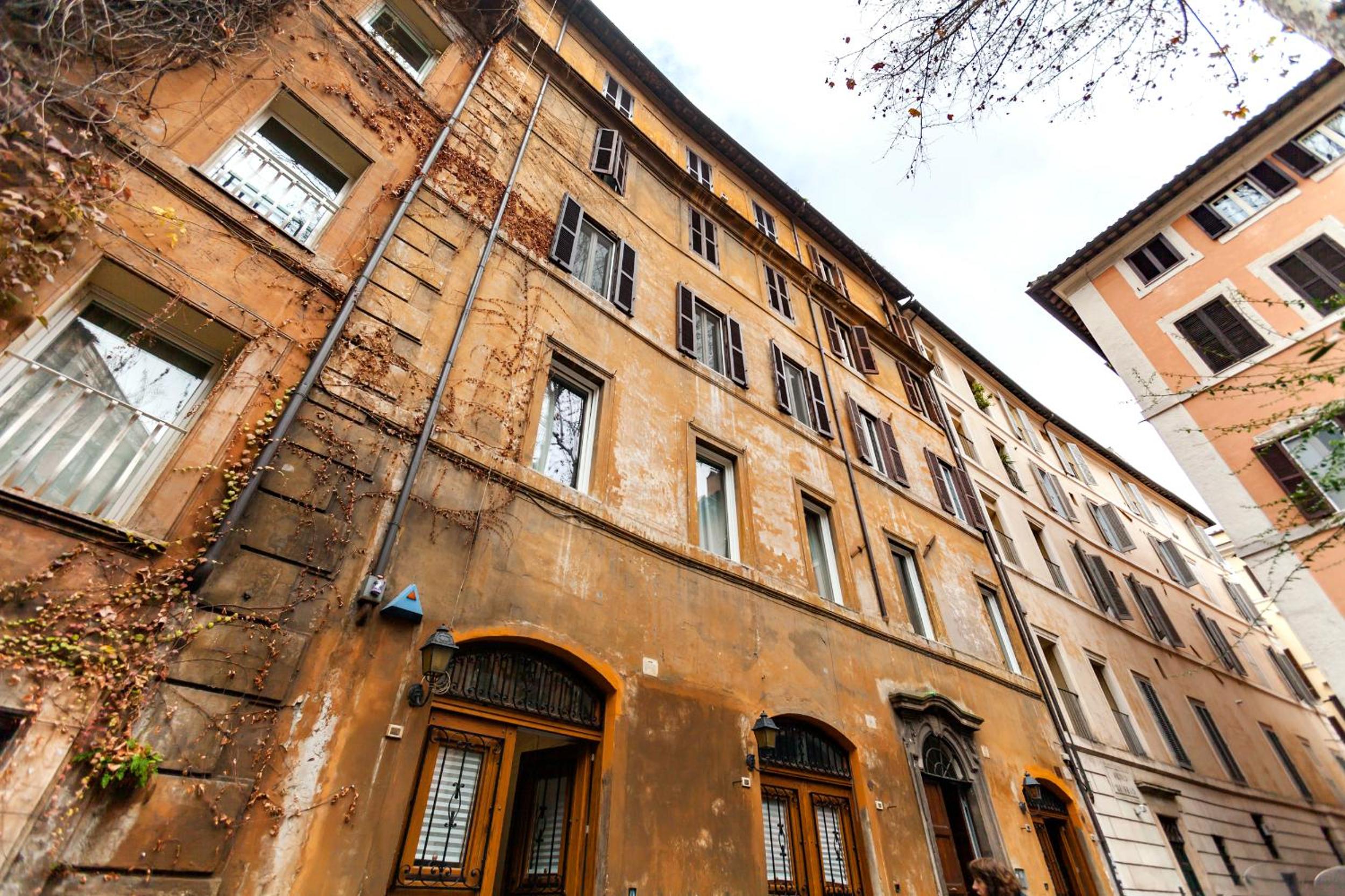 Navona Artist 8 APT
