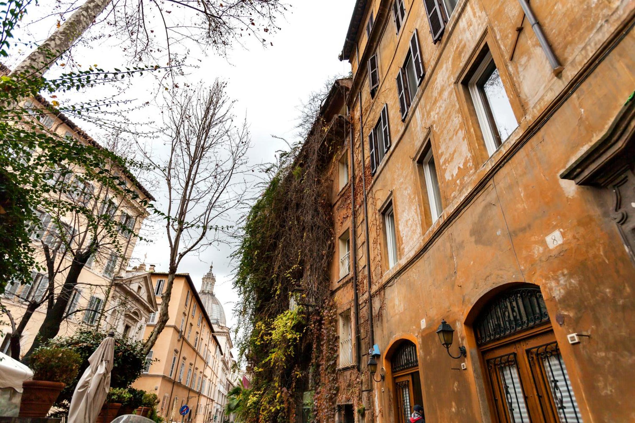 Navona Artist 10 APT