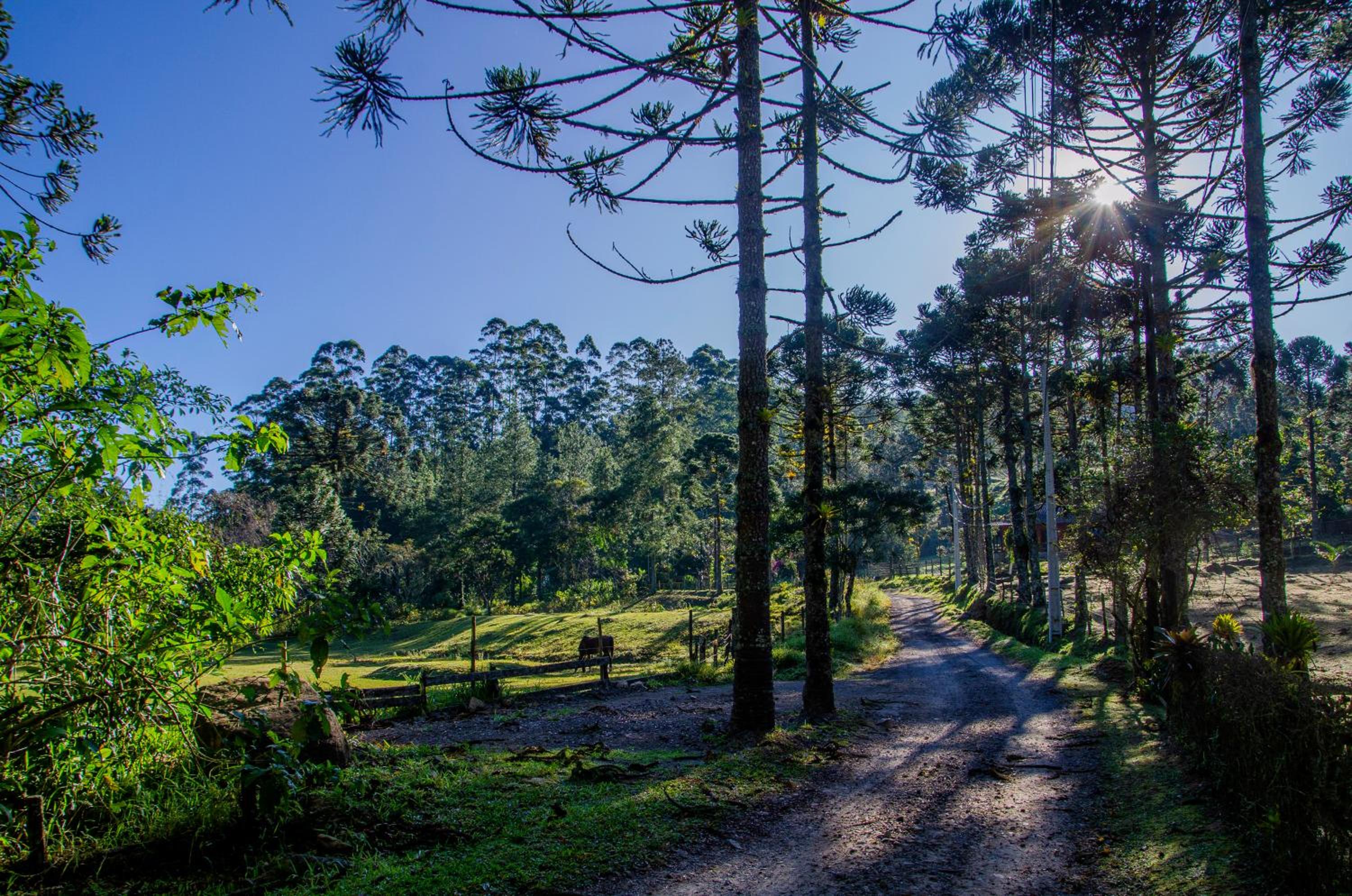Hospedaria Fazenda São João do Vale da Grama