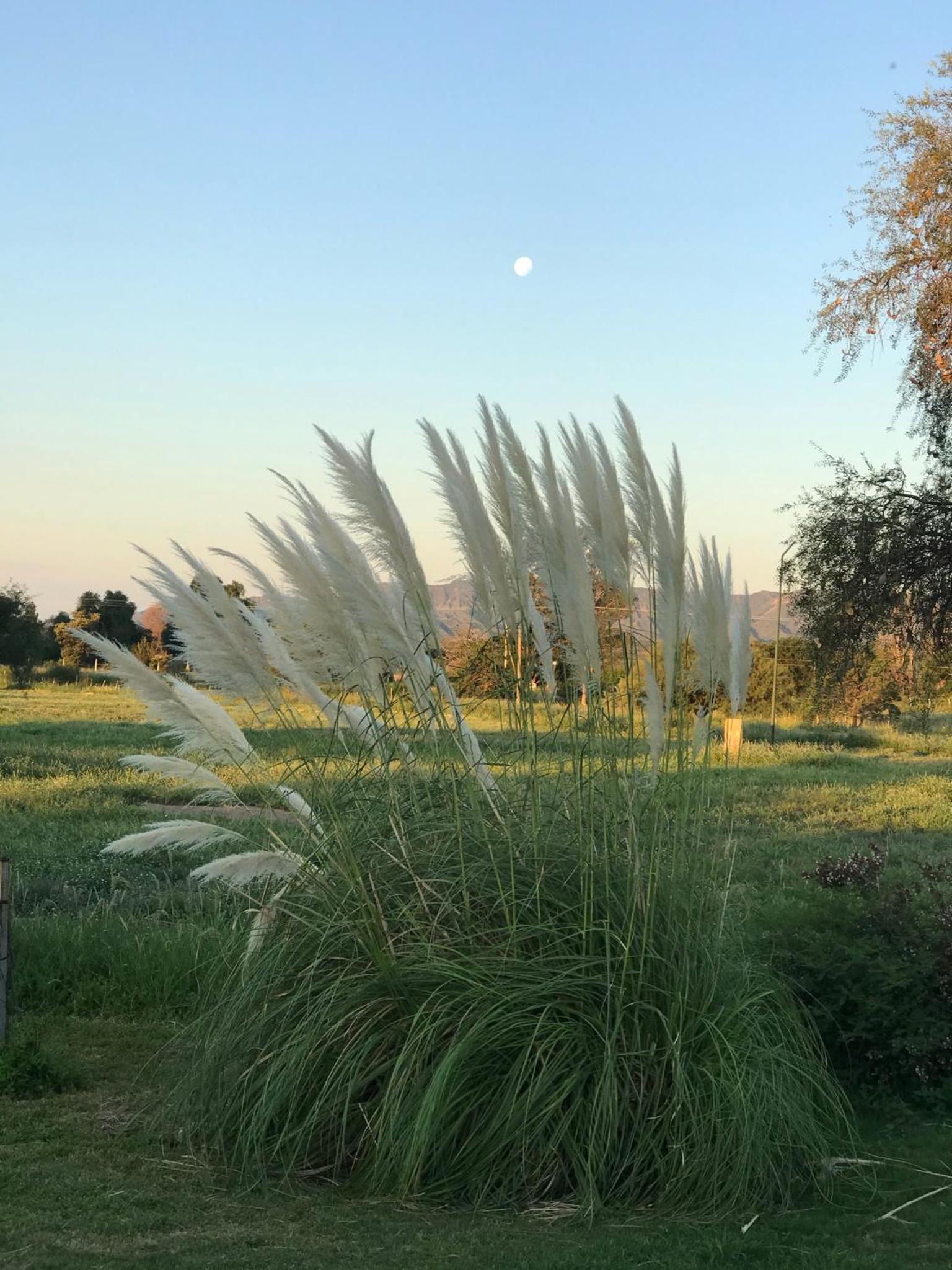 La Americana, casa entre sierras