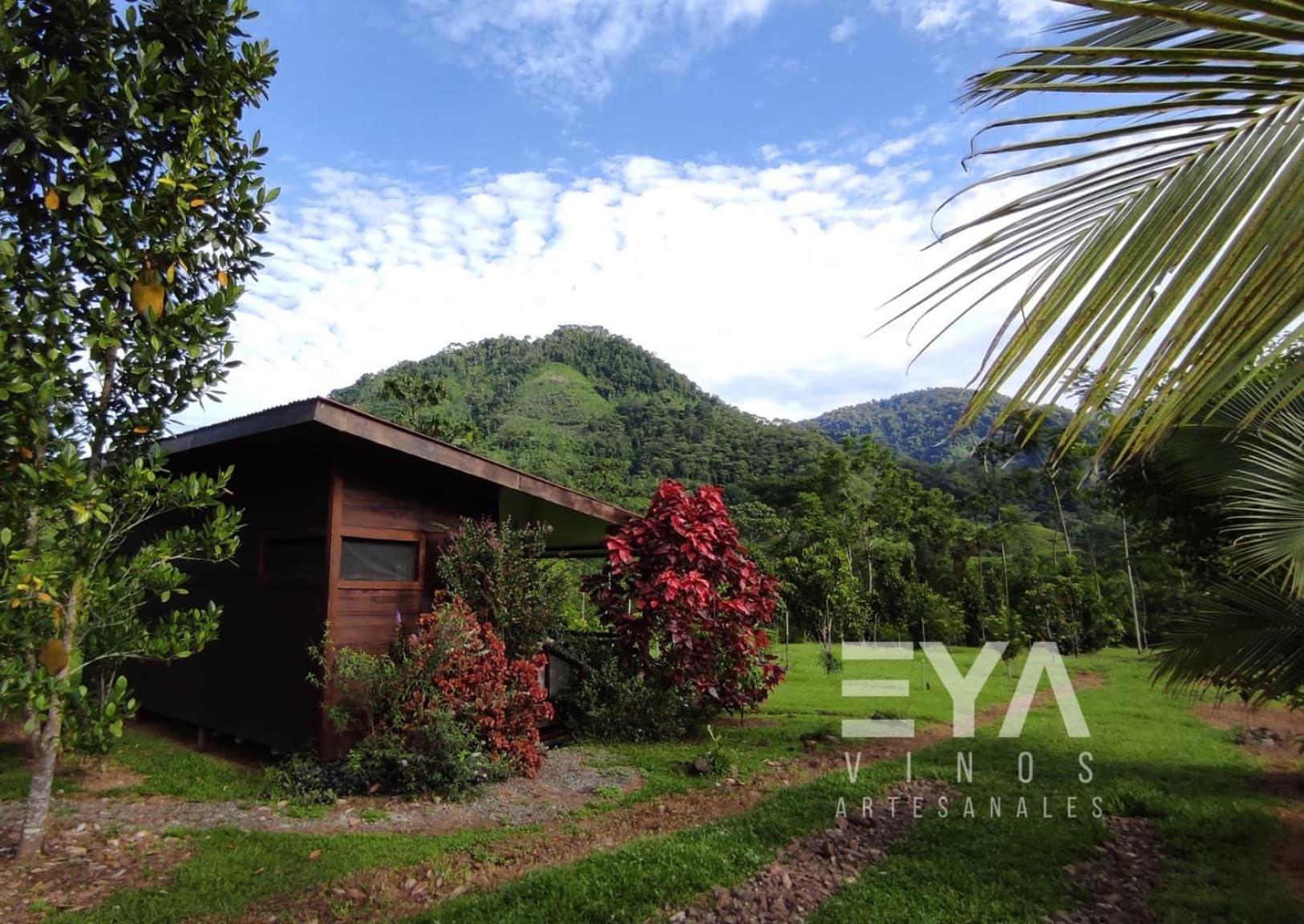 EYA Ecolodge view 3