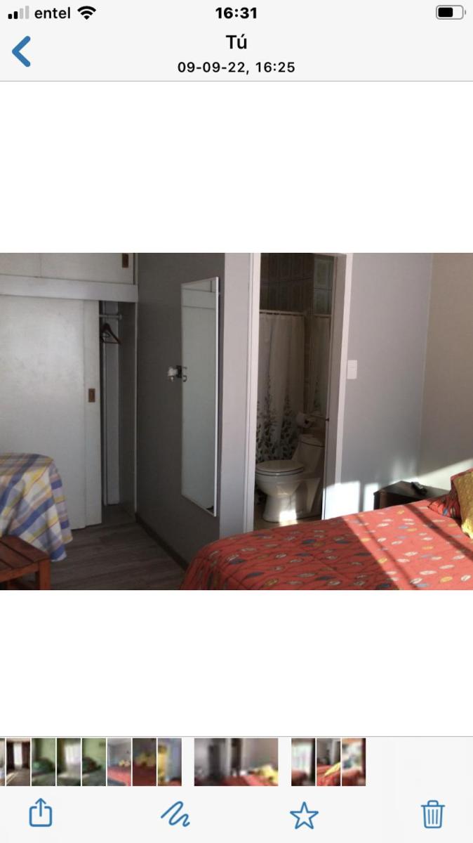 Photo 46