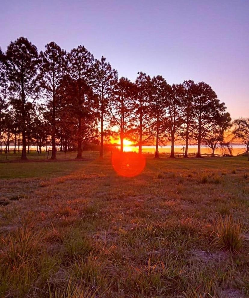 Pinares del Norte