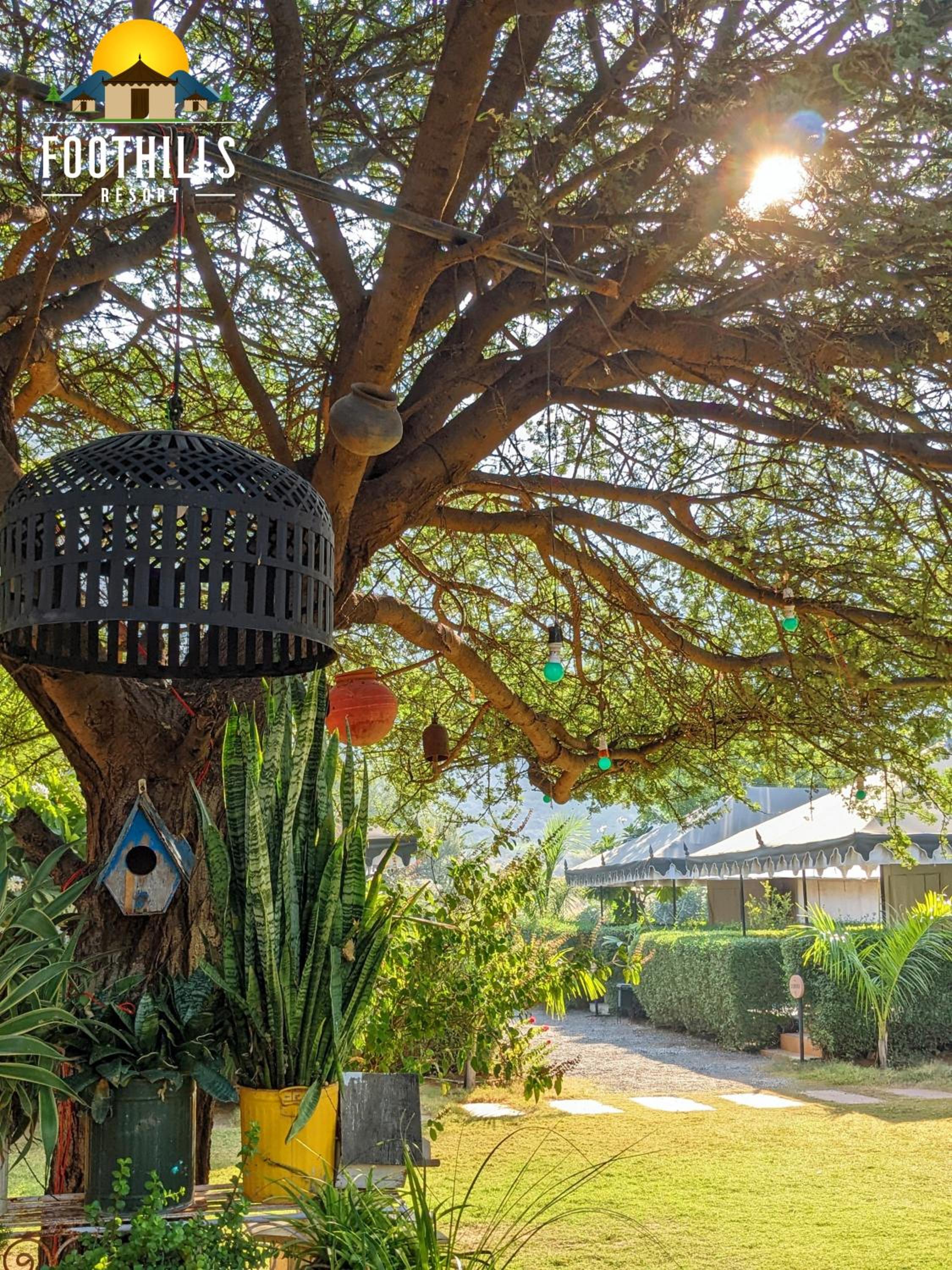 Foothill Pushkar Resort