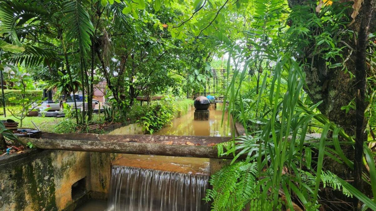 garden