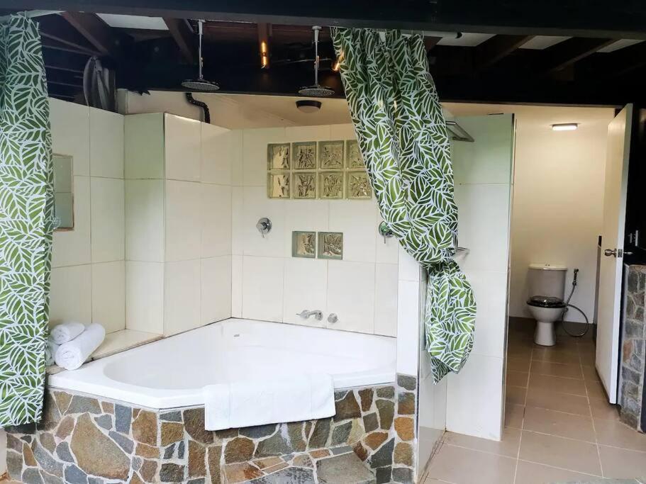 Treeverb Beach House - Daintree