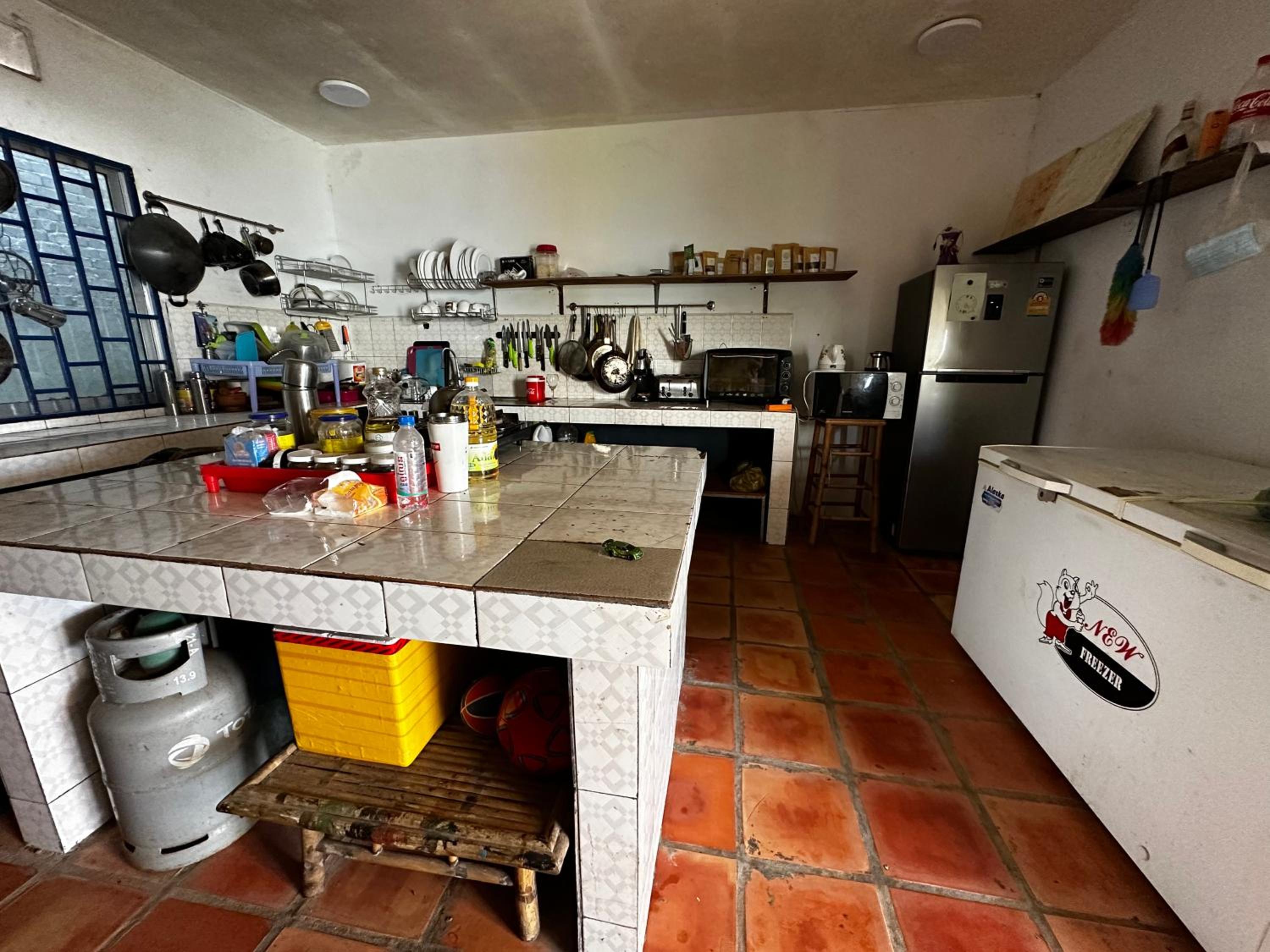 Photo 41