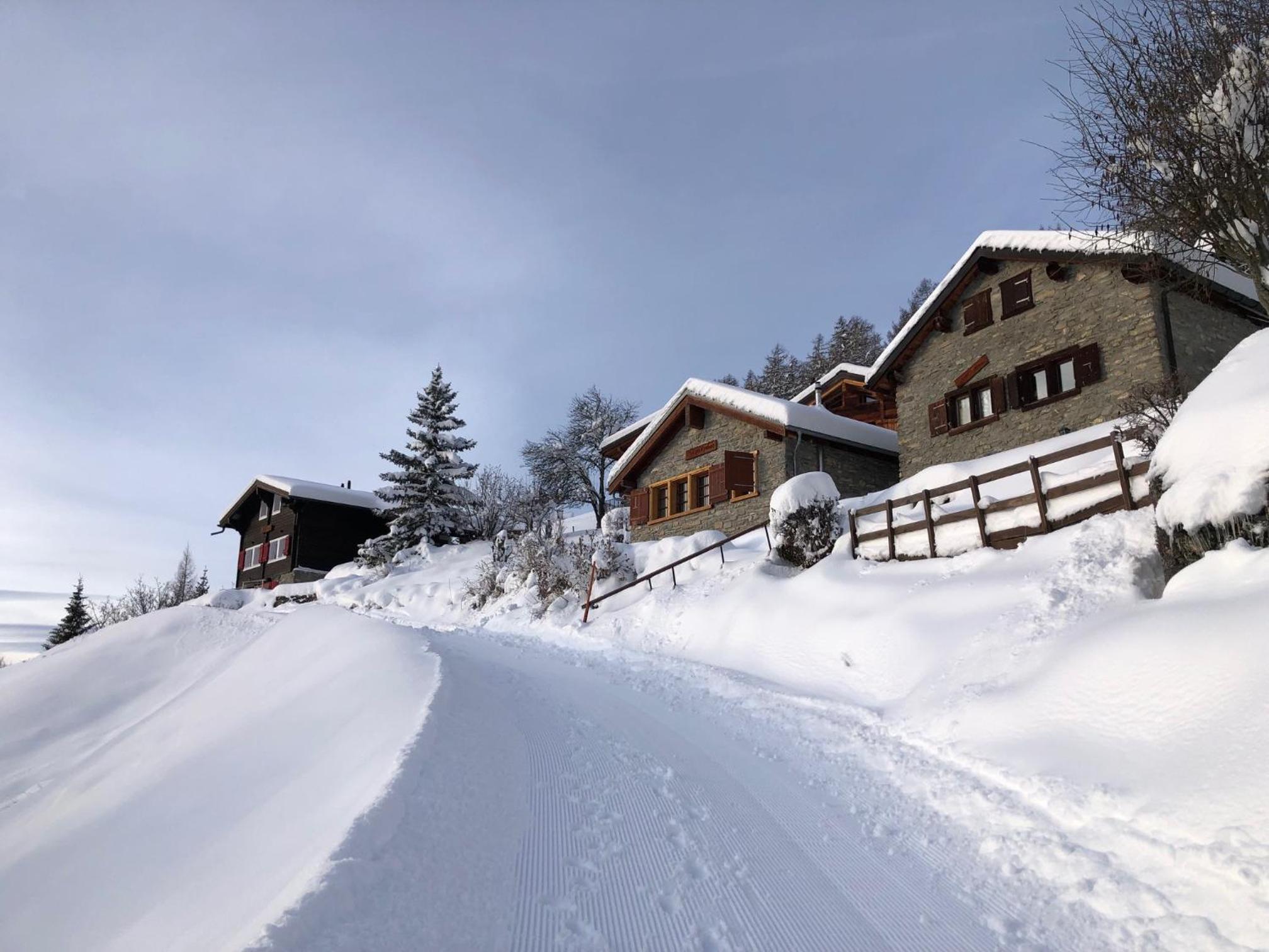 Tiny House facing the Alps - Ski in, Ski out view 5