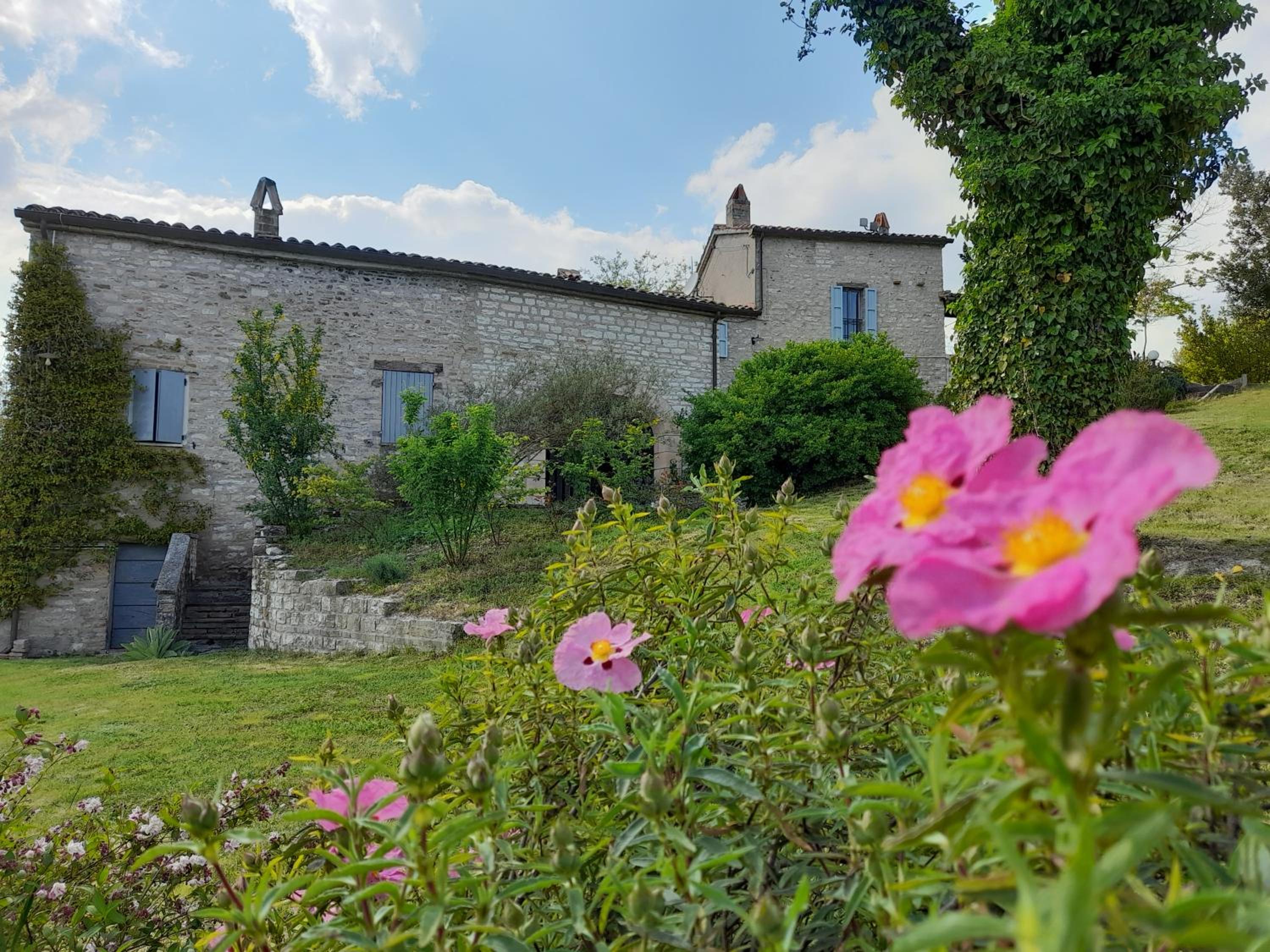 Agriturismo del Frontino - Lo Studio view 2