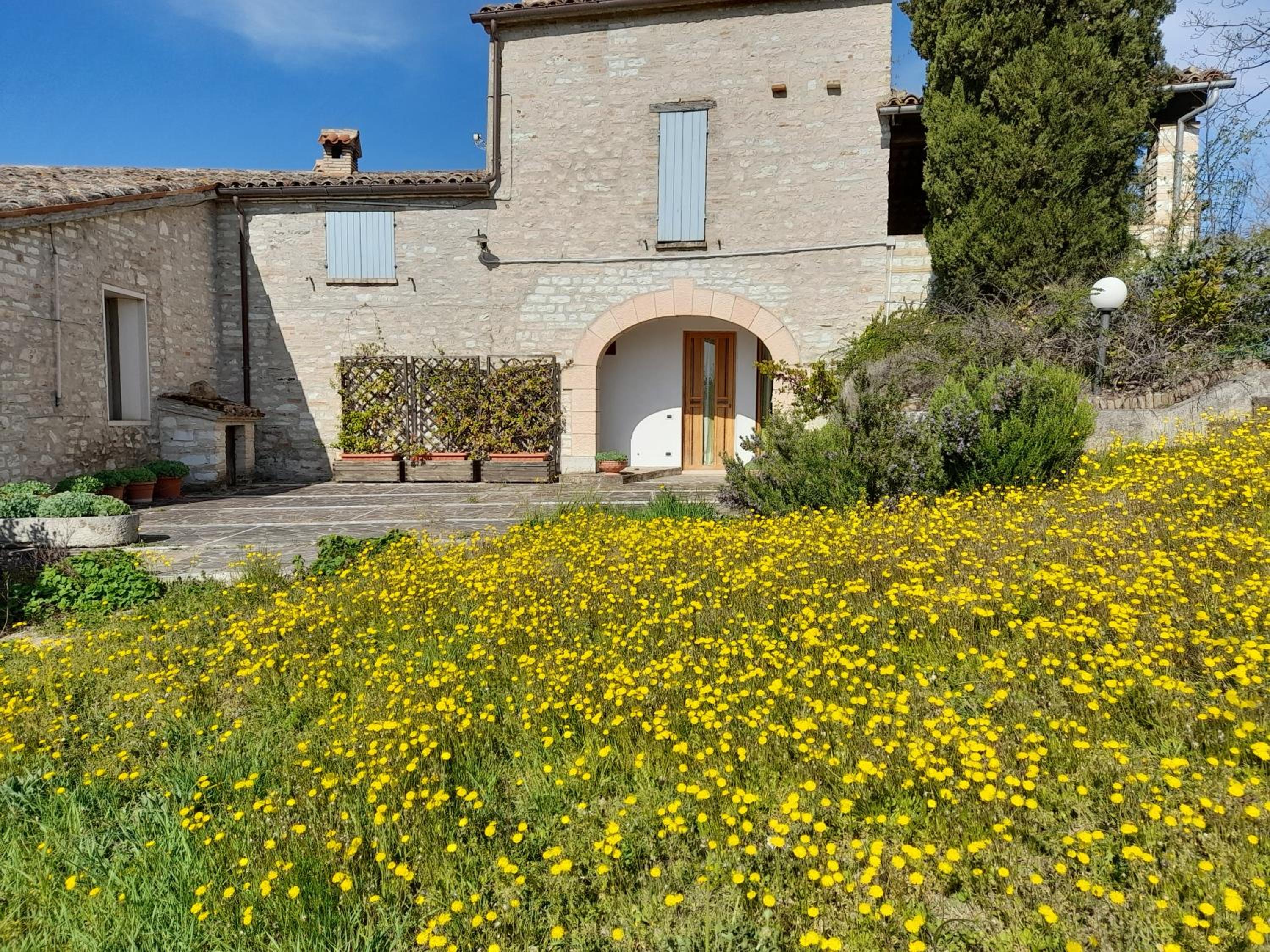 Agriturismo del Frontino - Lo Studio view 3