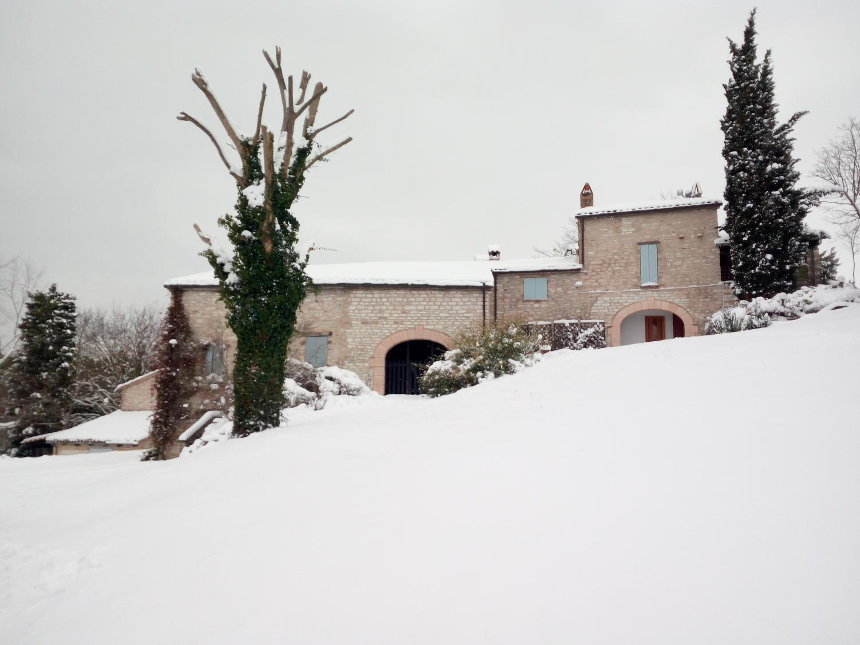 Agriturismo del Frontino - Lo Studio view 4