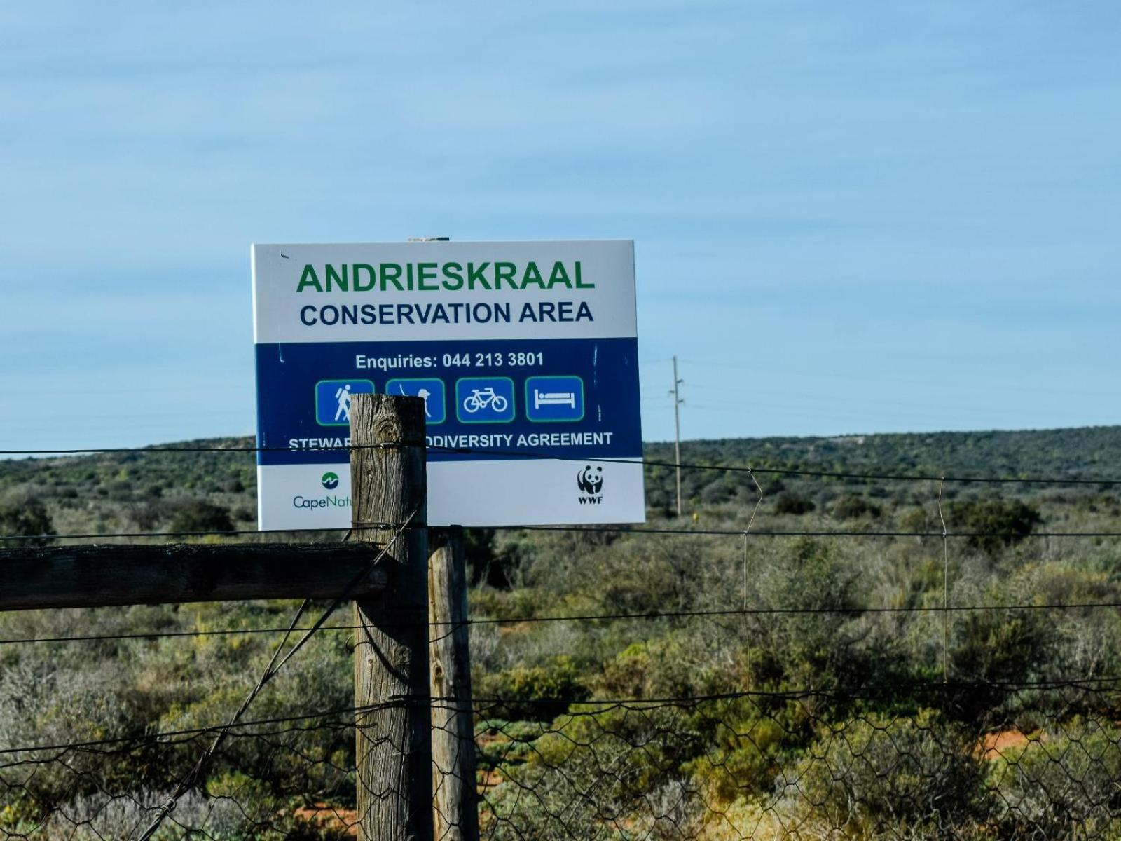 Bella de Karoo -Big Foot Safaris view 4