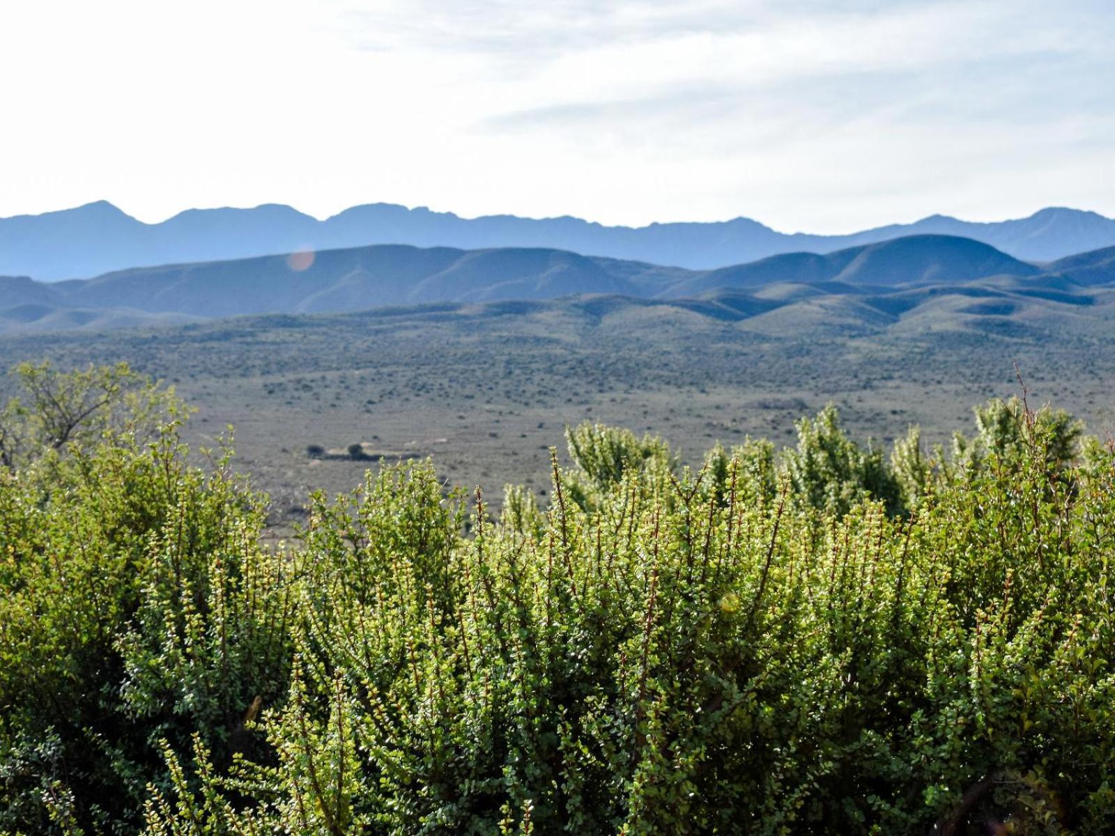 Bella de Karoo -Big Foot Safaris view 5