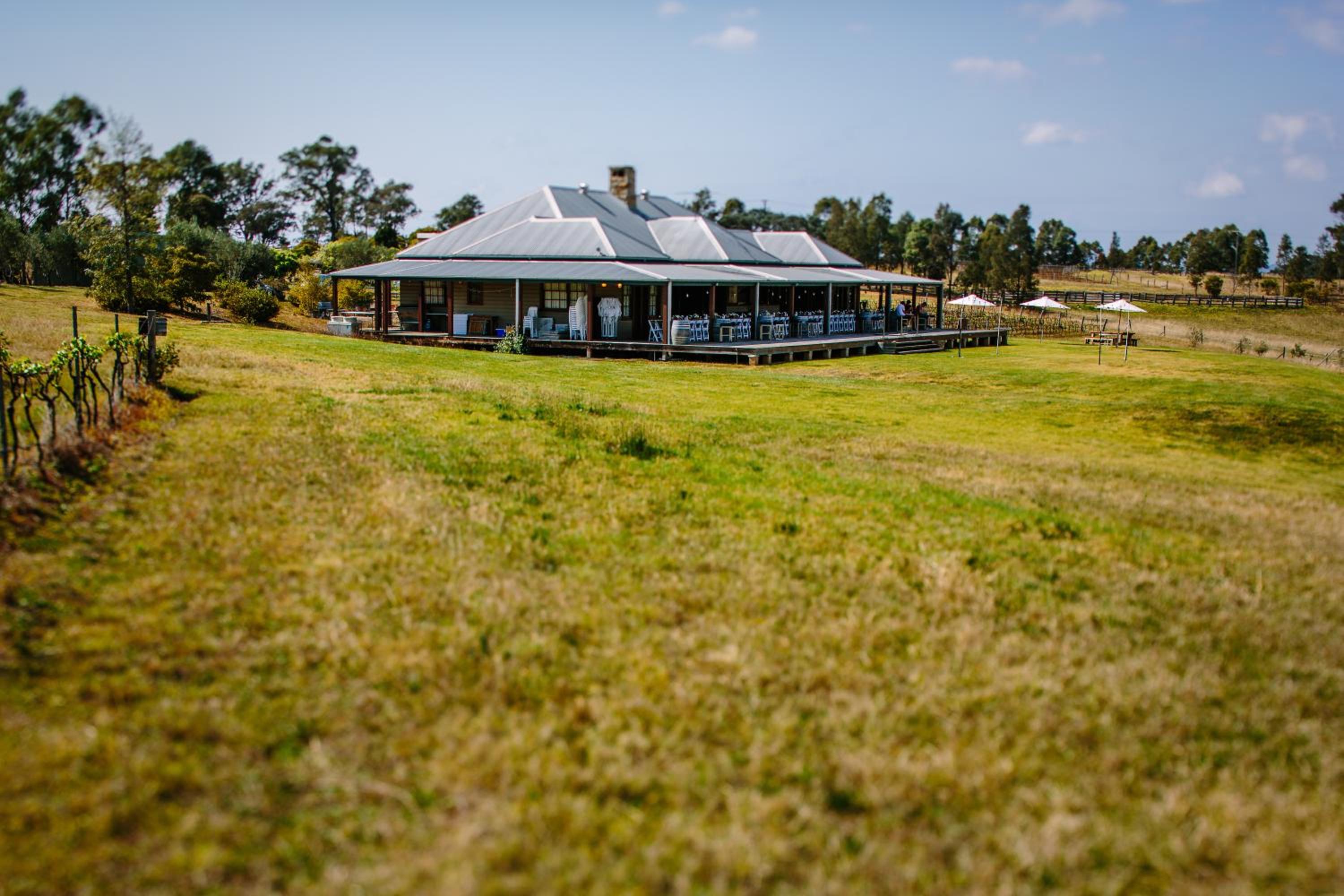 Hanging Tree Wines view 2