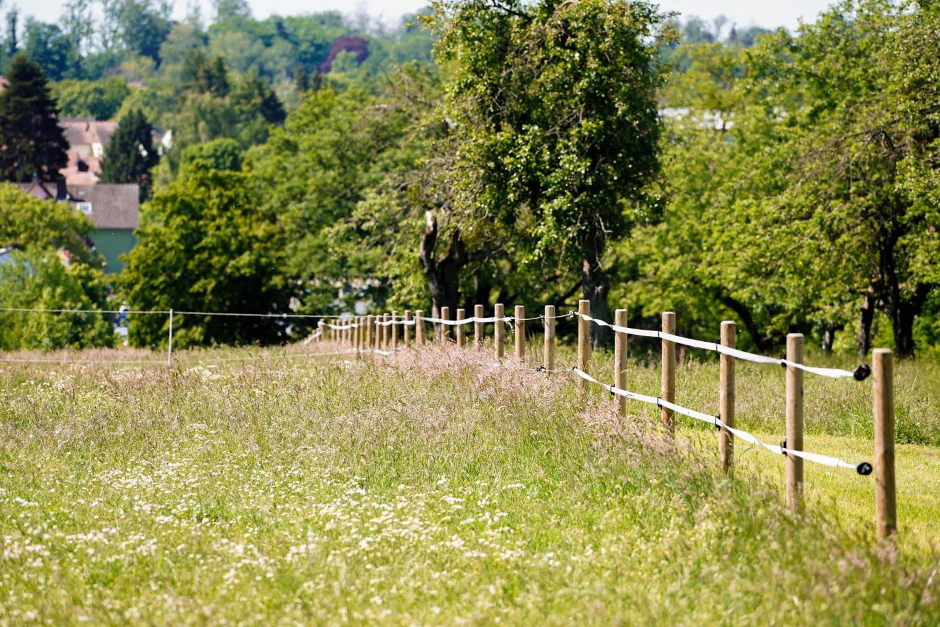 Frühstückspension Christinenhof