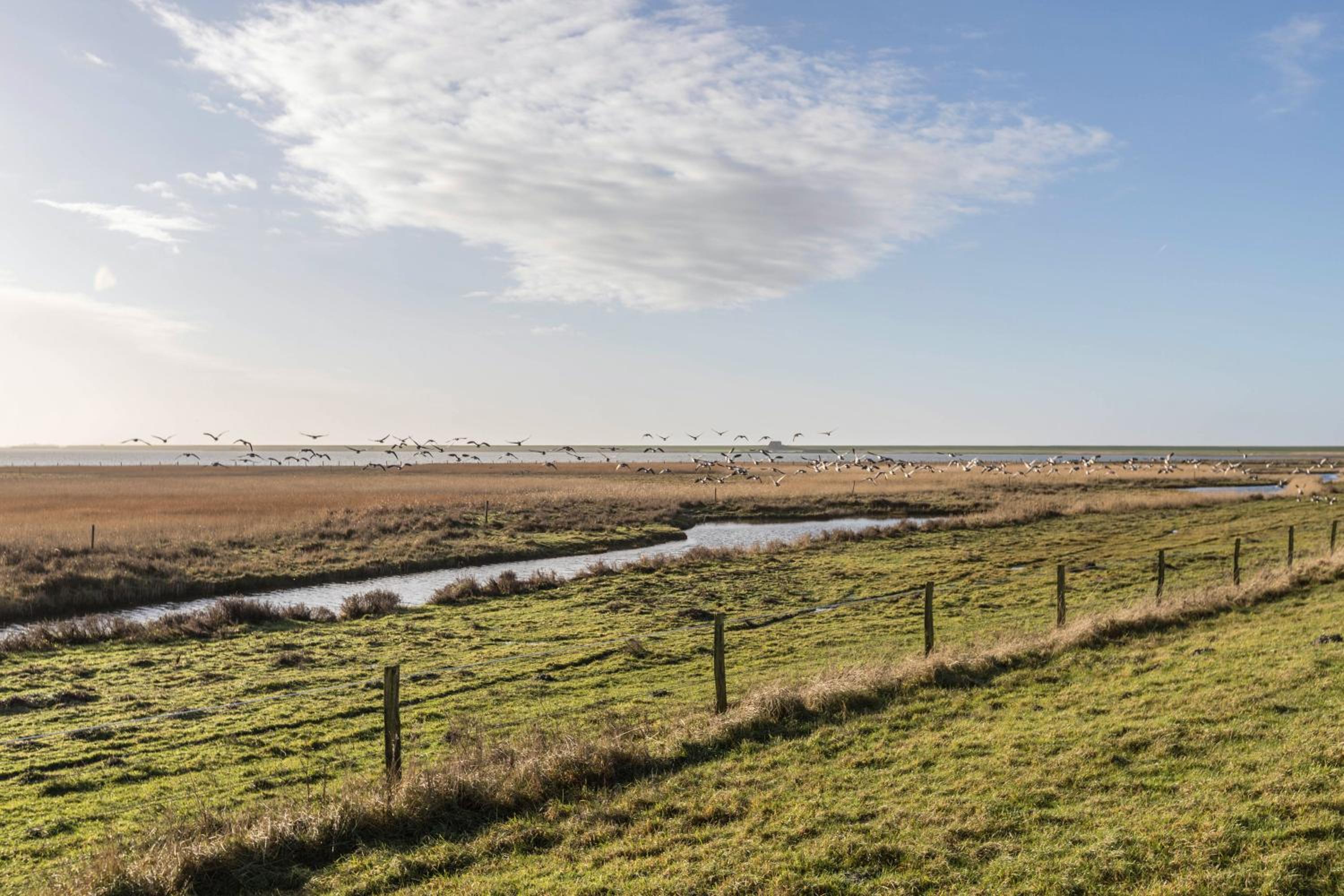 Haevn am Meer, Apartment Rosenquarz