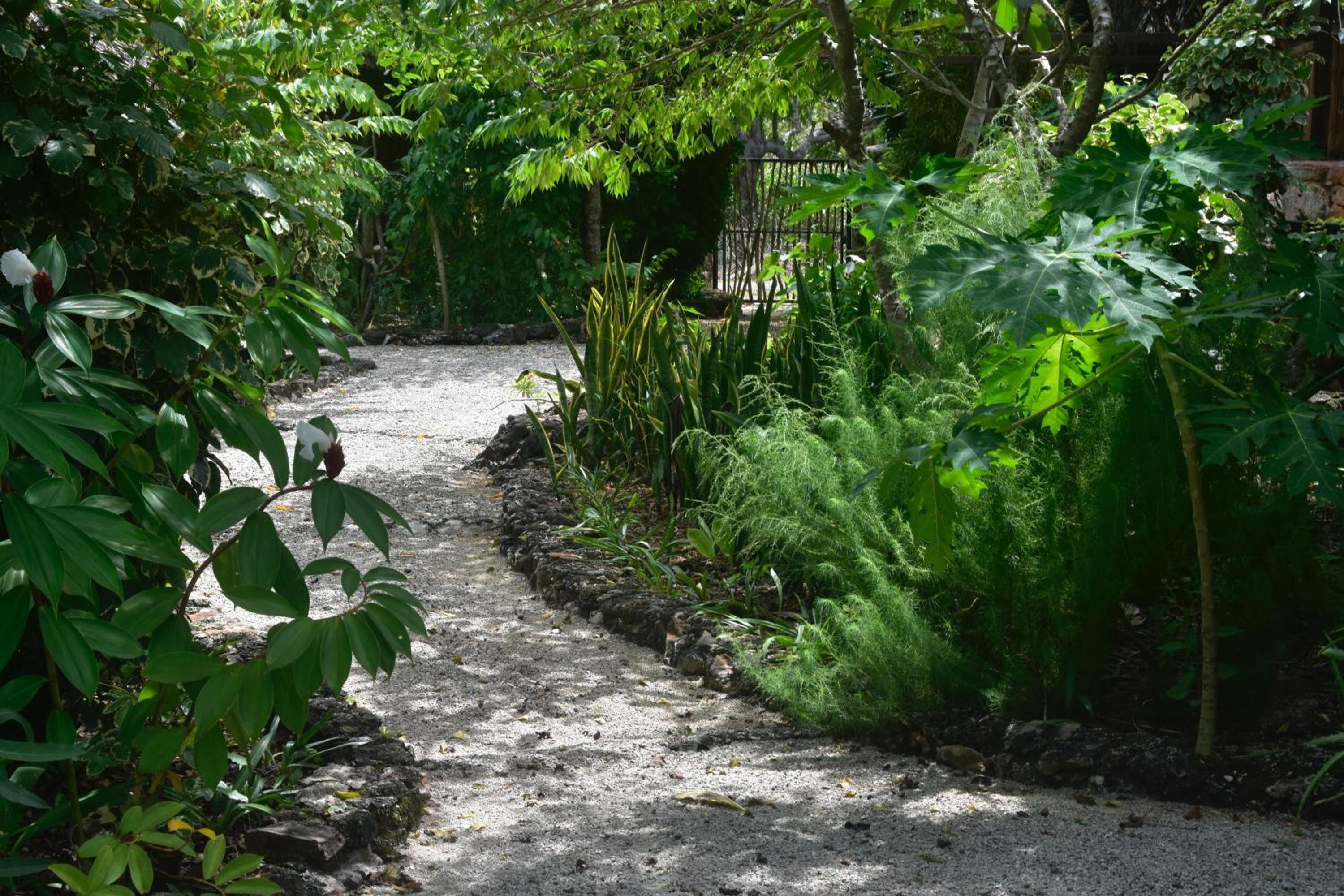 Photo 41