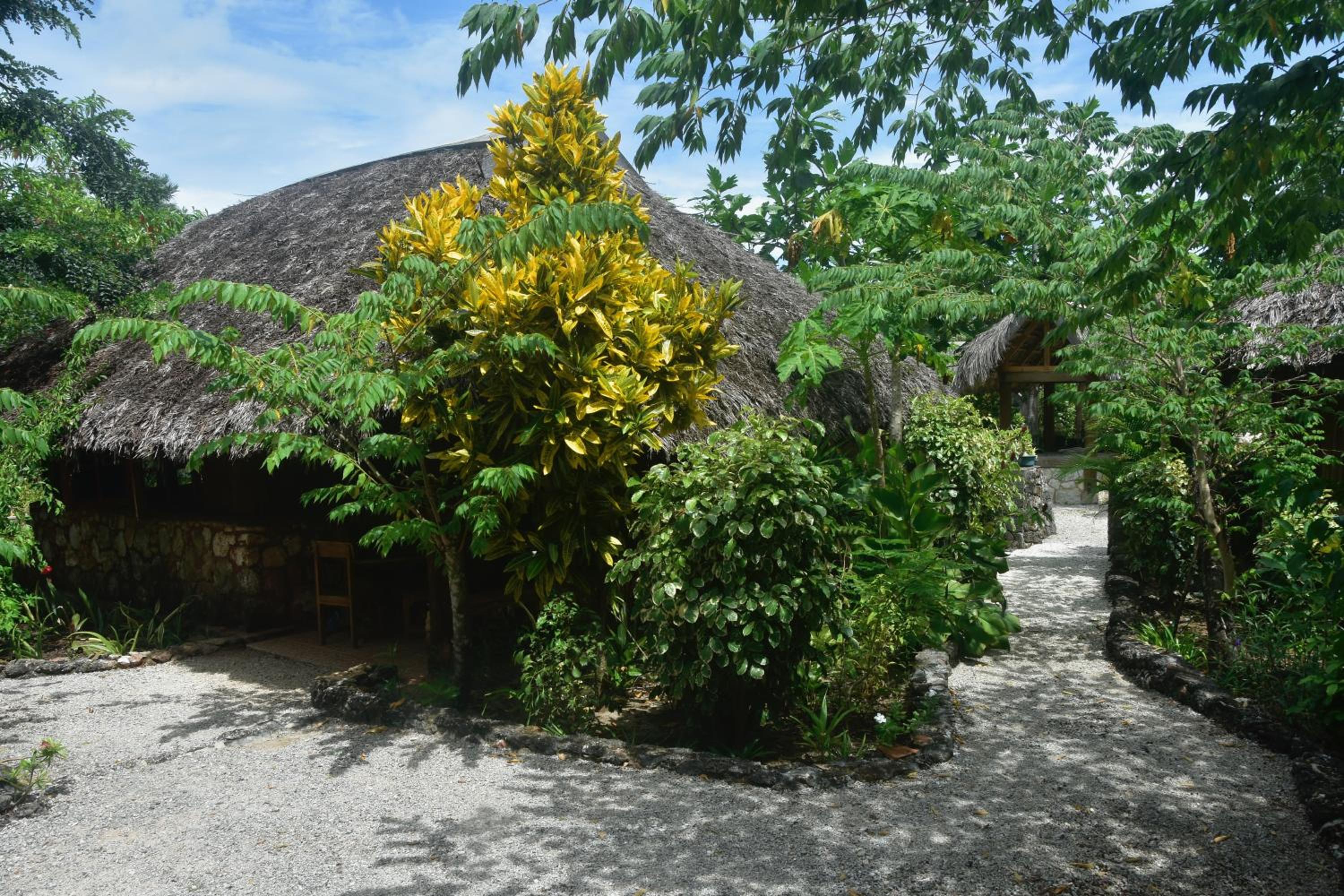 Photo 42