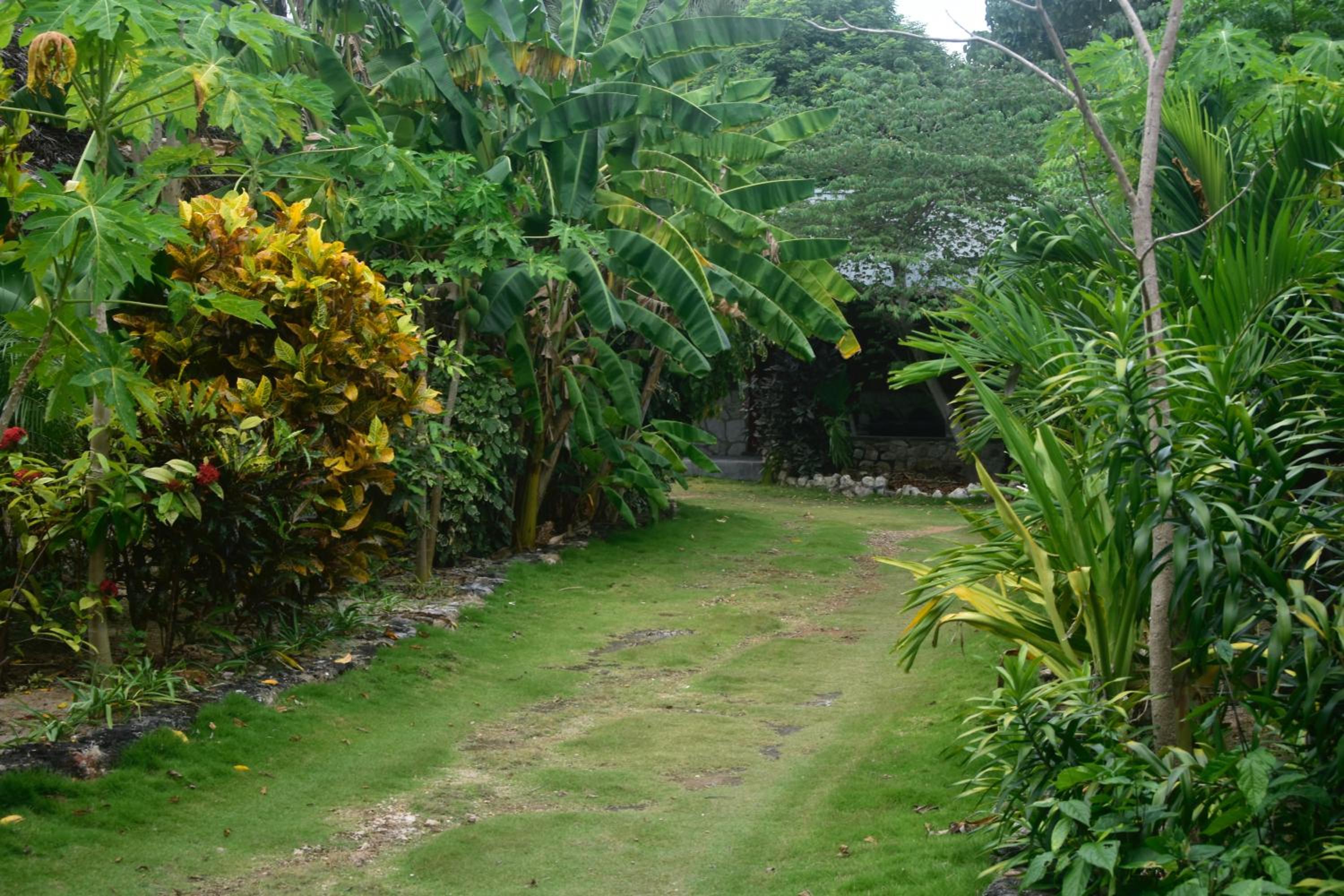 Photo 43