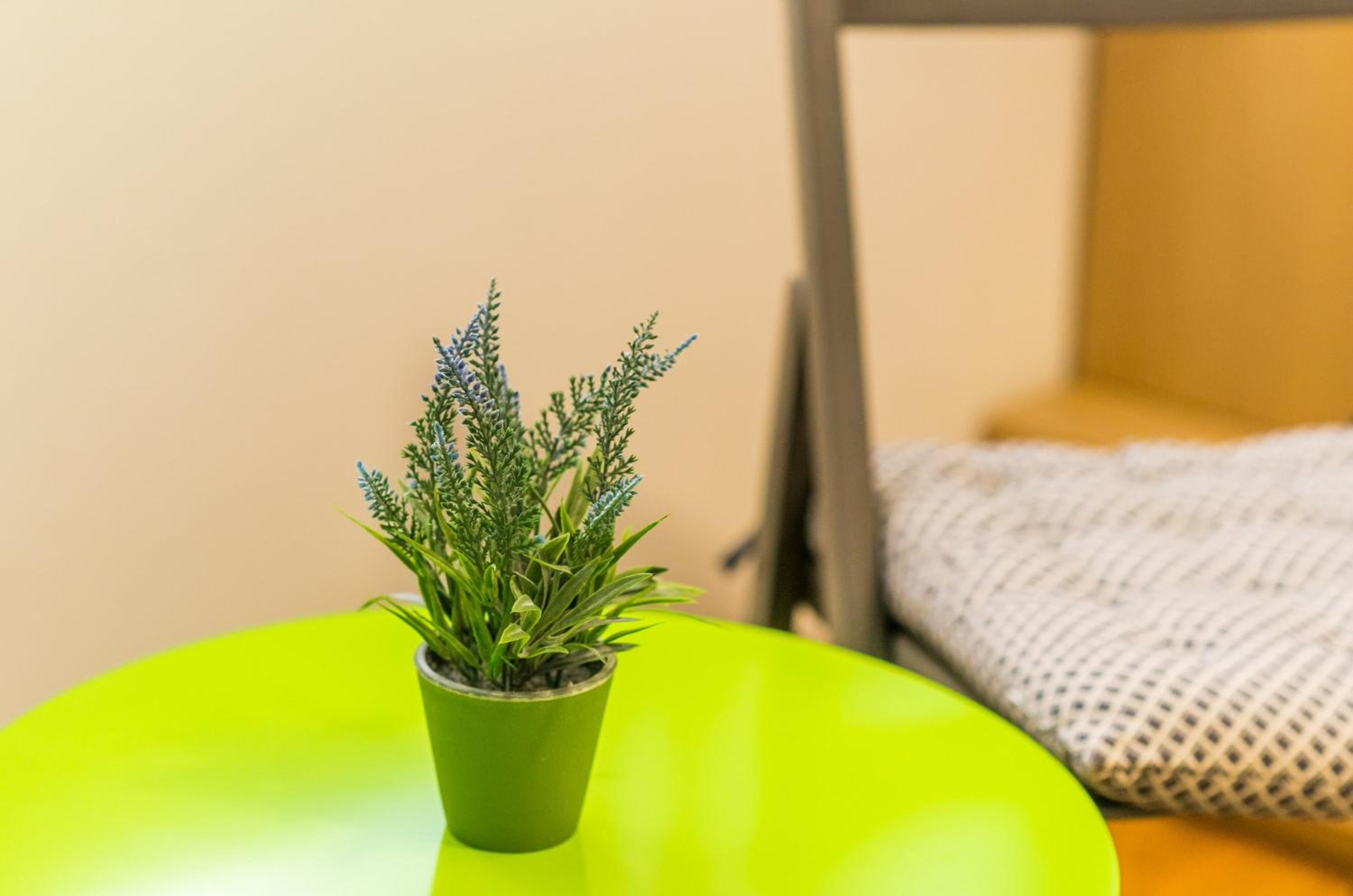 The Point Room en Dubrovnik — other