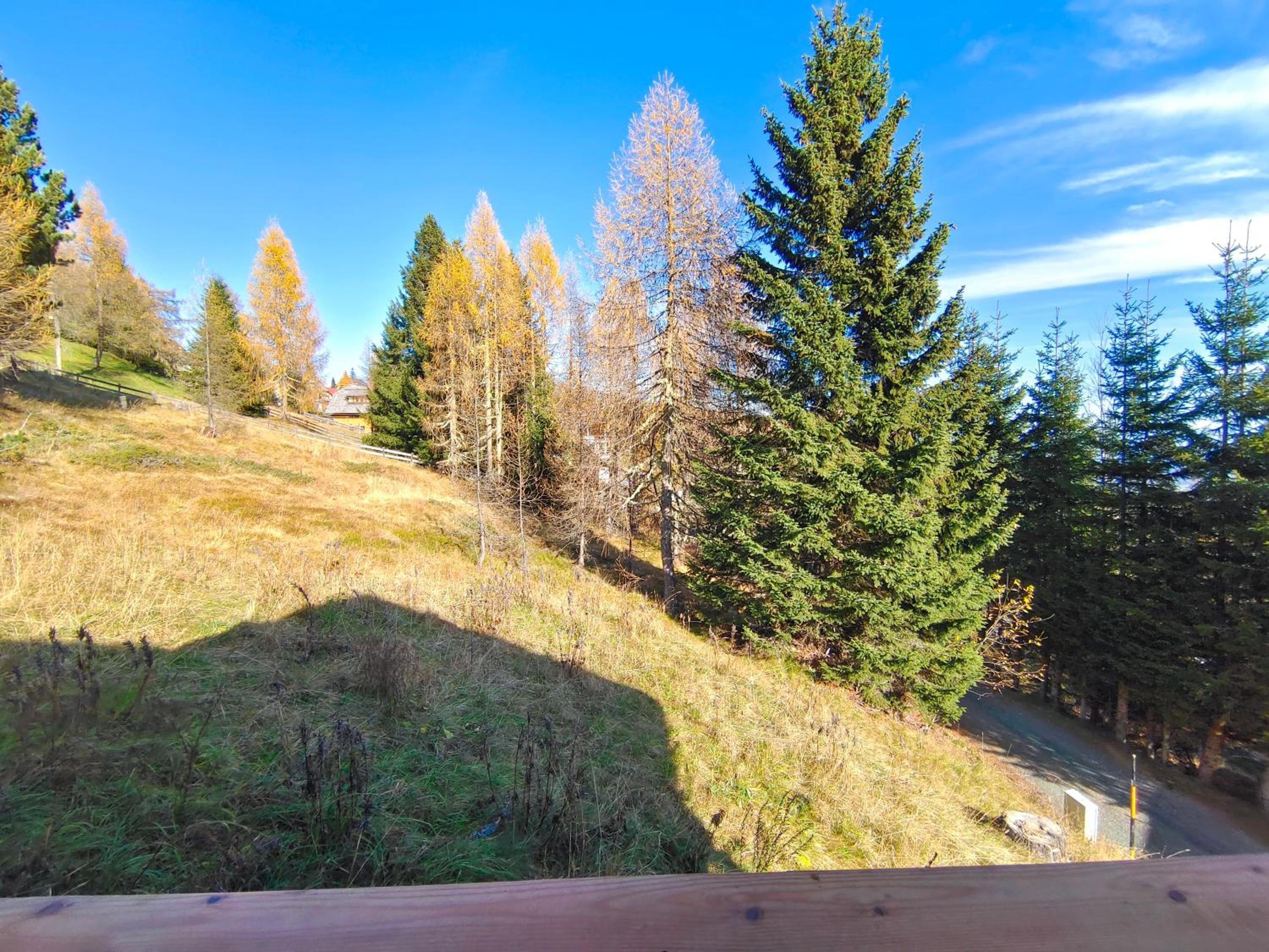 Falkenblick