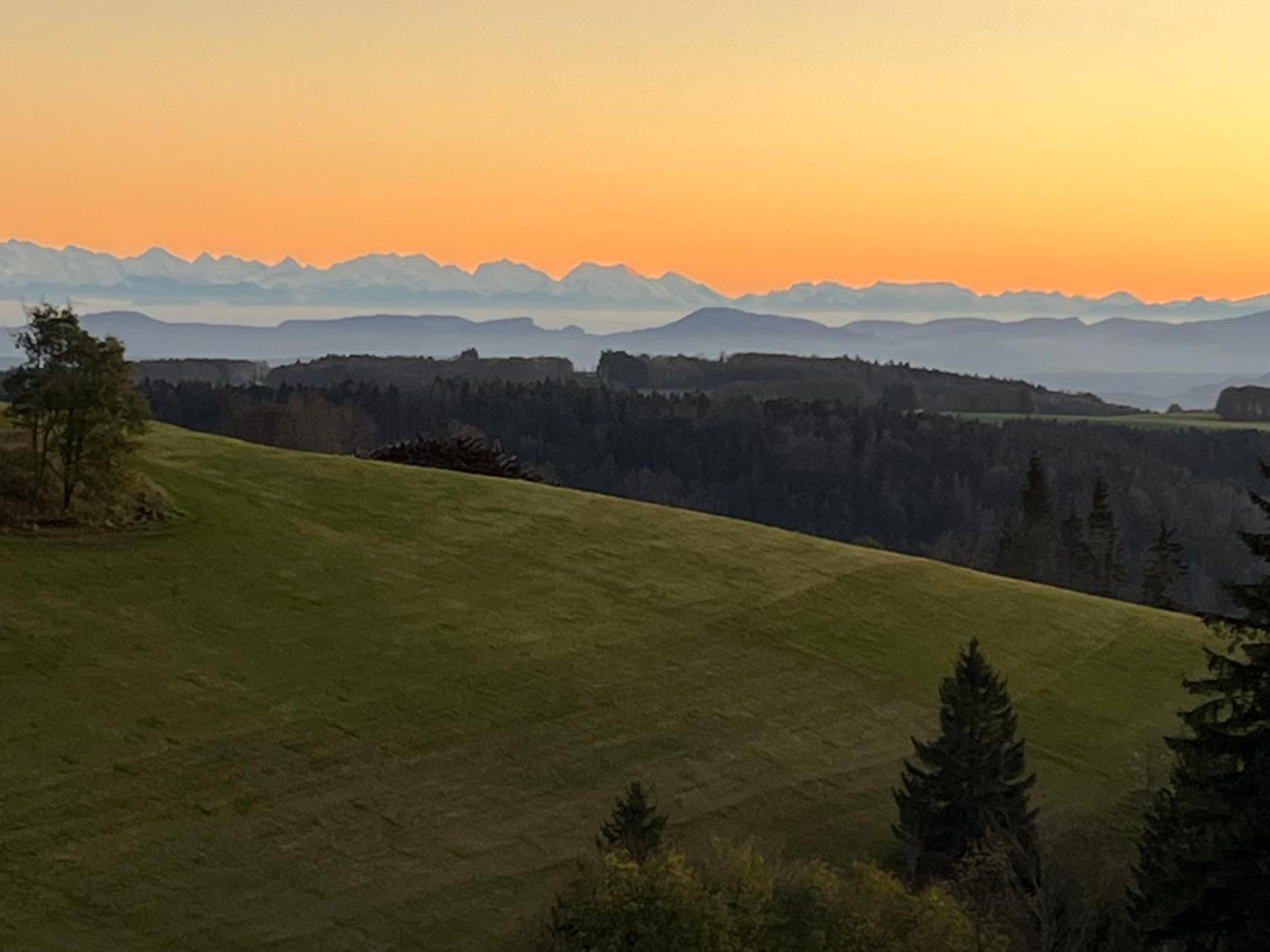 Blackforest Homestay Apartments