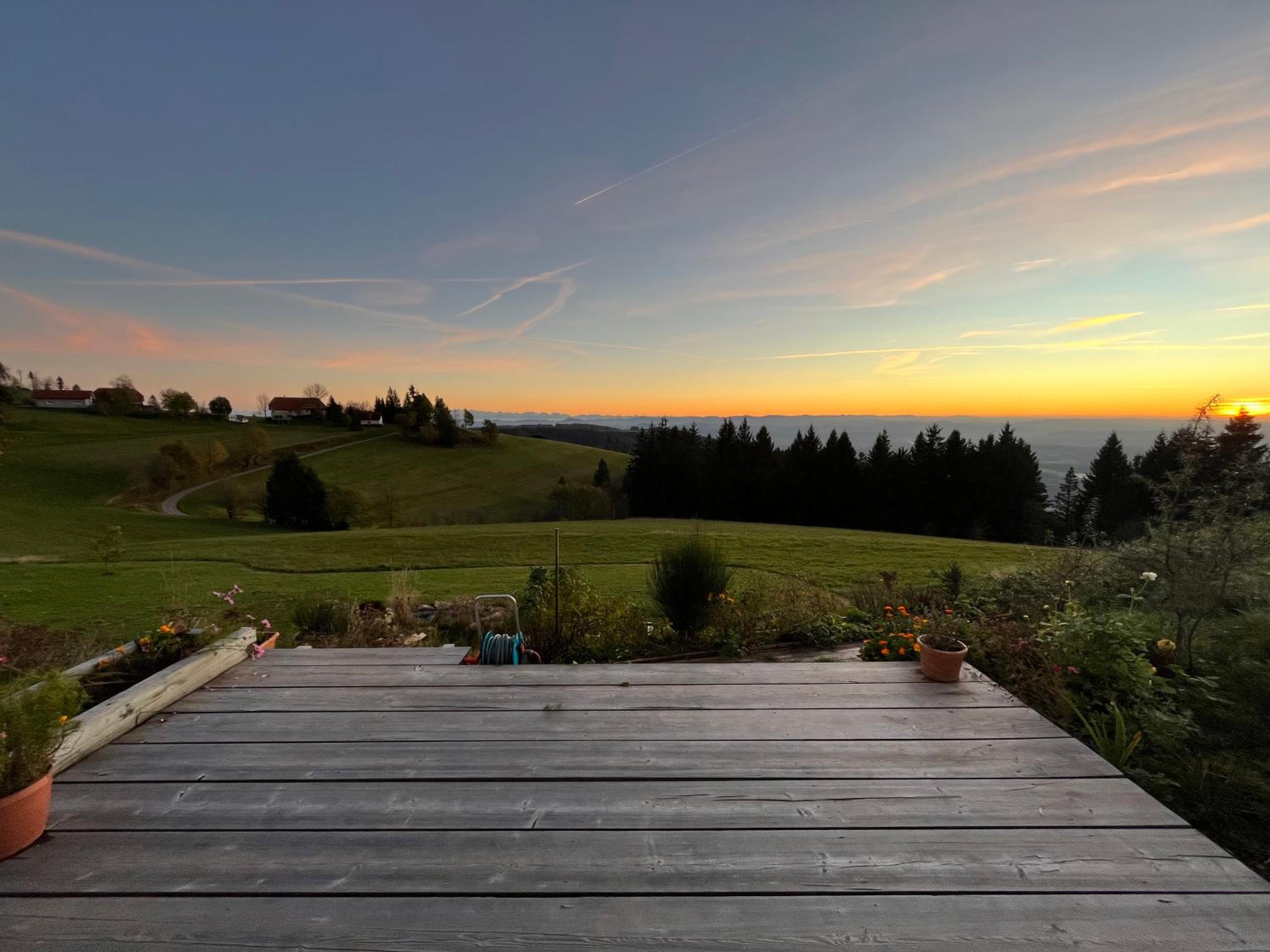 Blackforest Homestay Apartments