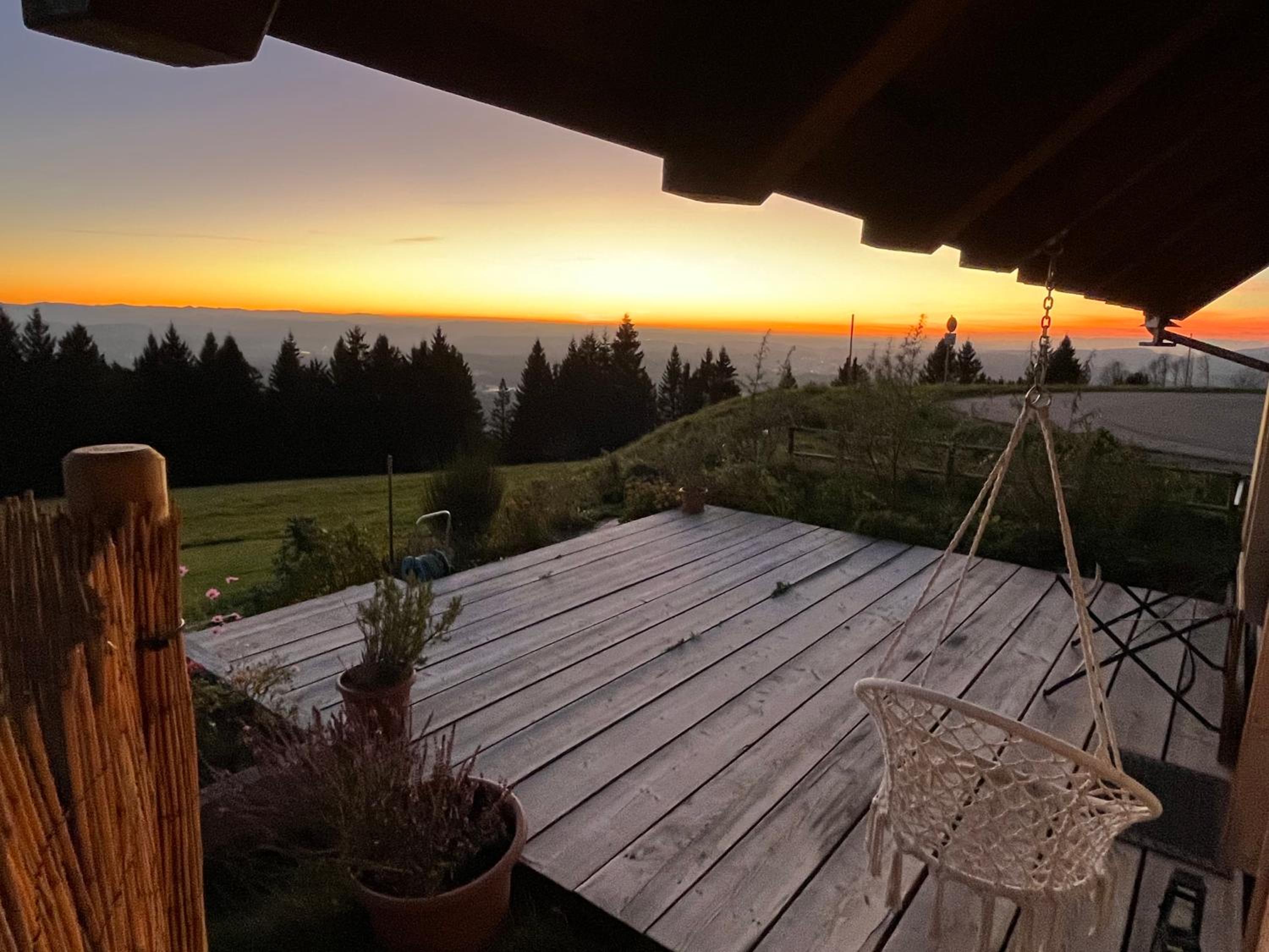 Blackforest Homestay Apartments