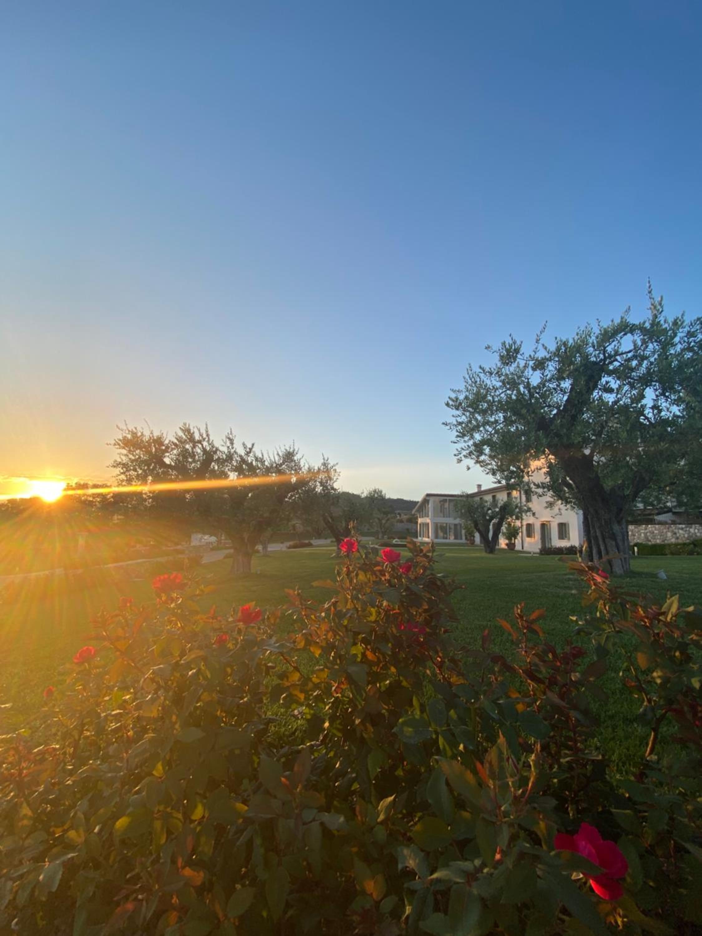 Agriturismo Ortaglia Bardolino
