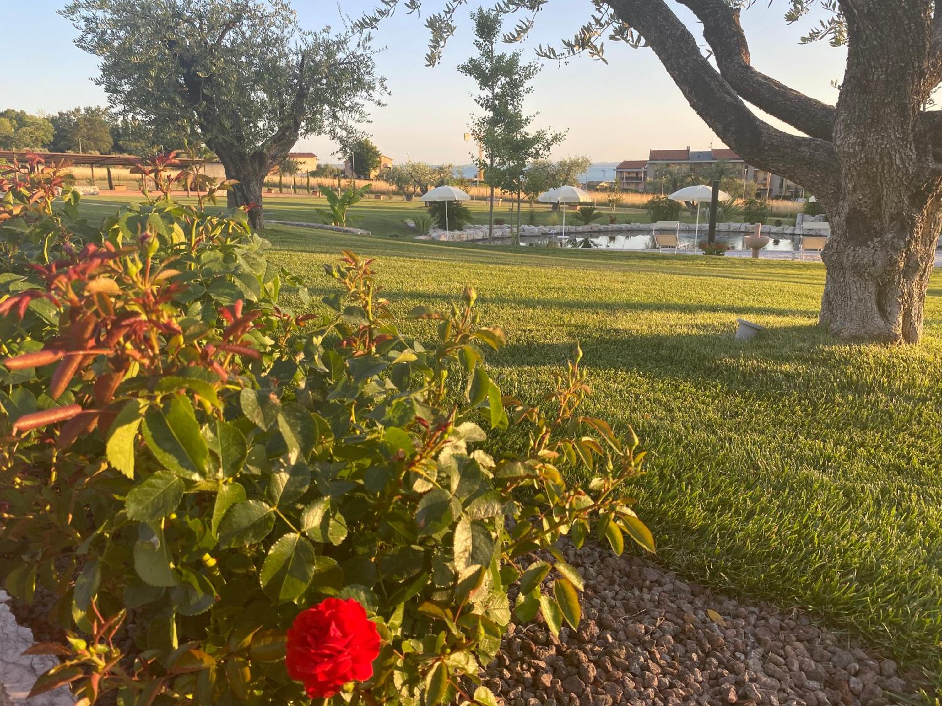 Agriturismo Ortaglia Bardolino