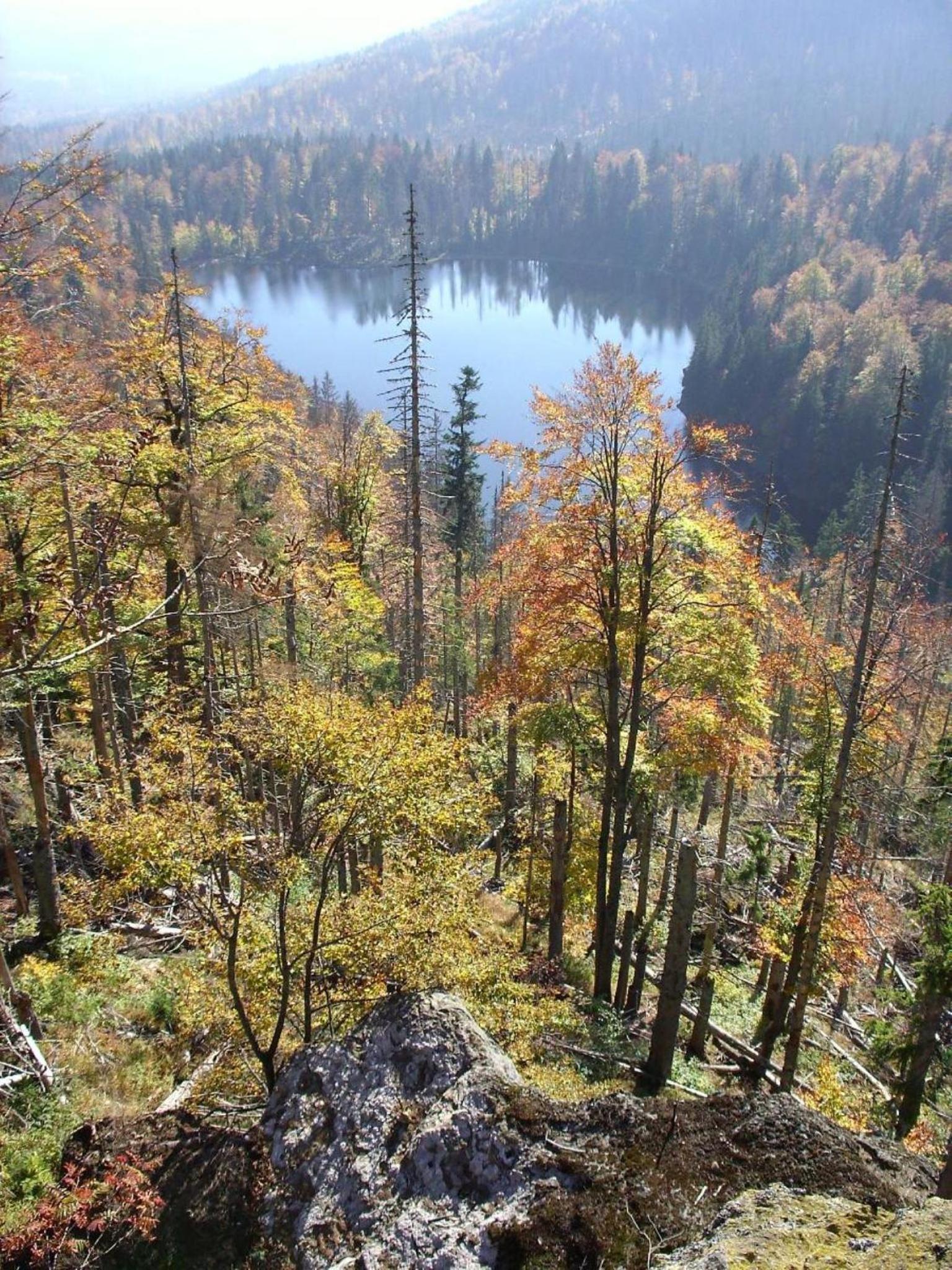Pension Wiesengrund