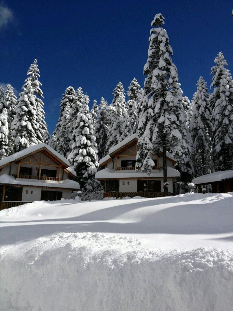 Saint George Holiday Village view 4