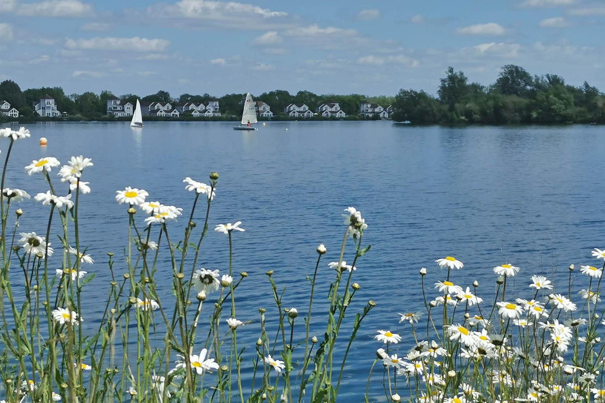 Dock Holiday