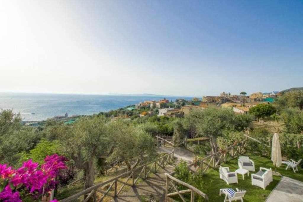 Villa il Sogno Di zia Ada photo 2