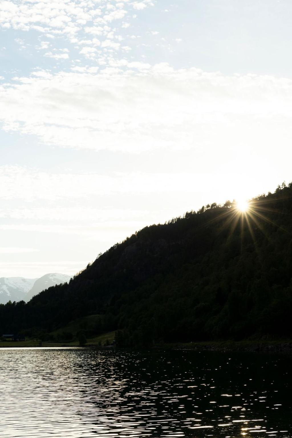 Photo 45