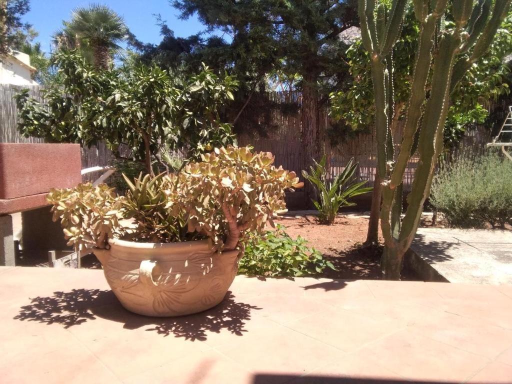 Photo 18
