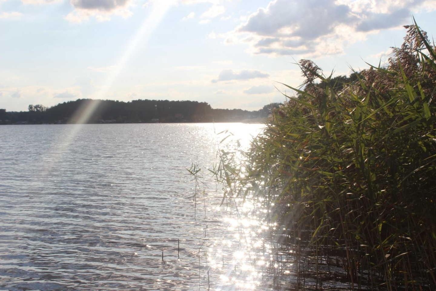 Photo 36