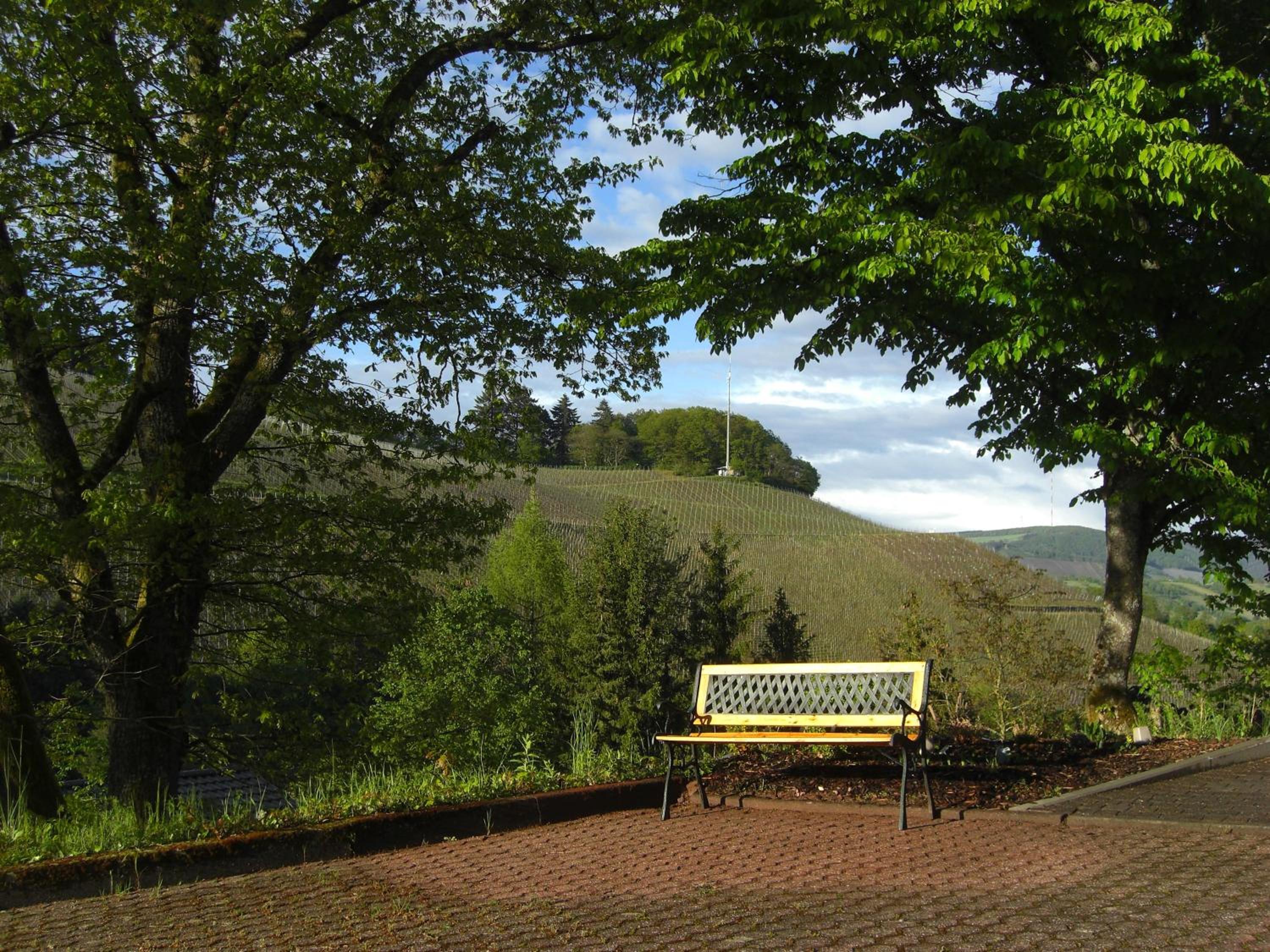 Ferienwohnung Alter Weinberg