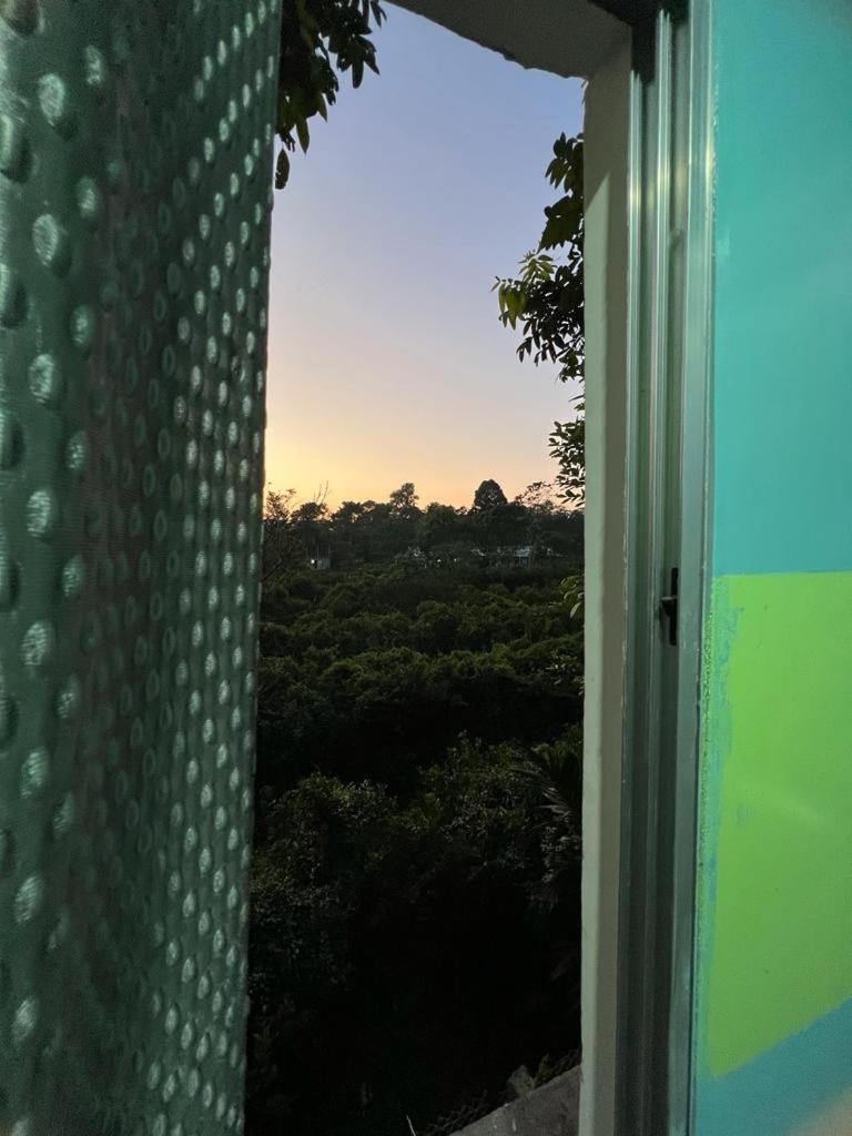 The PugMark Wildlife Resort view 3