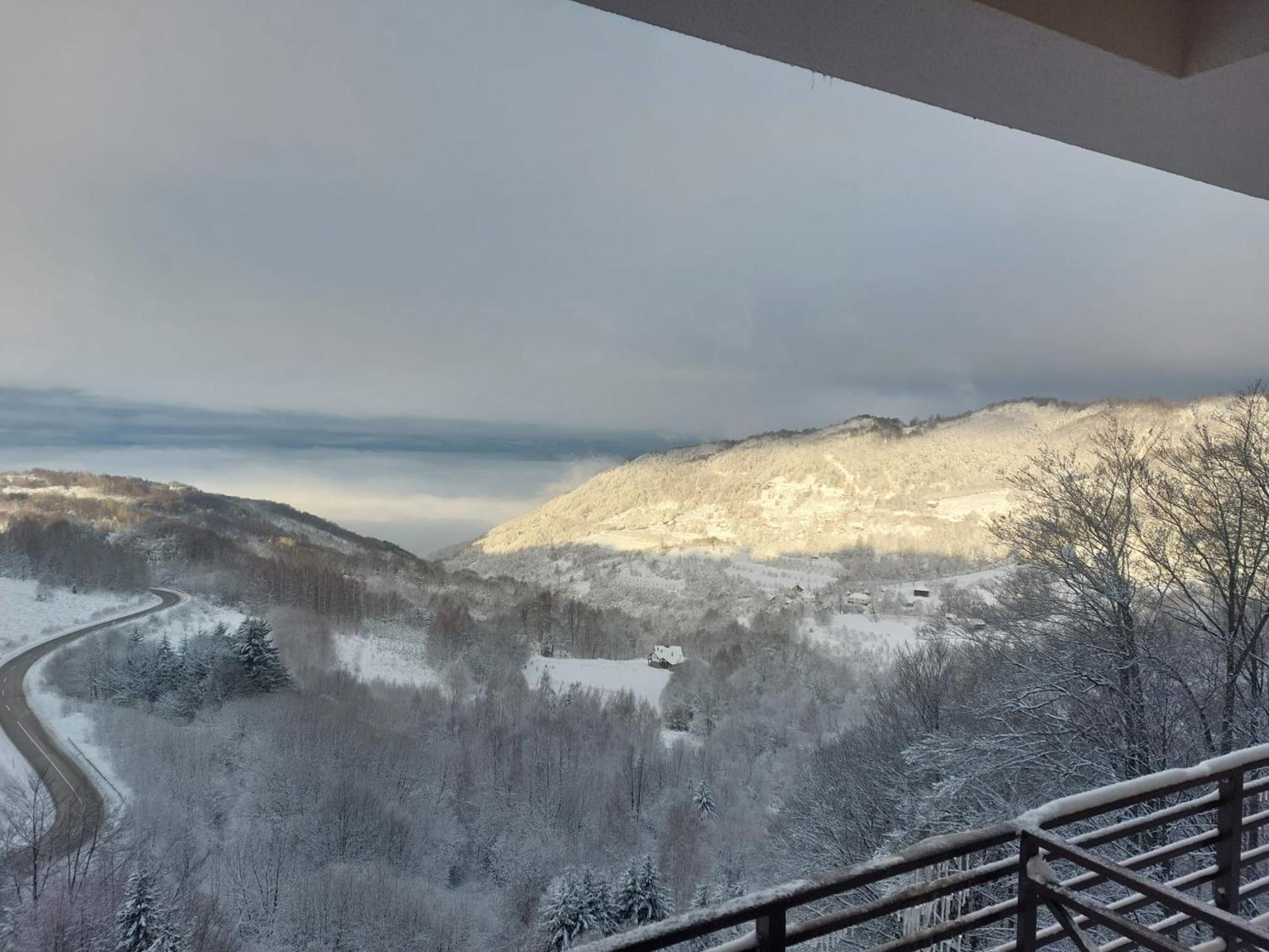 Milmari Golden N LUX 62 view 3