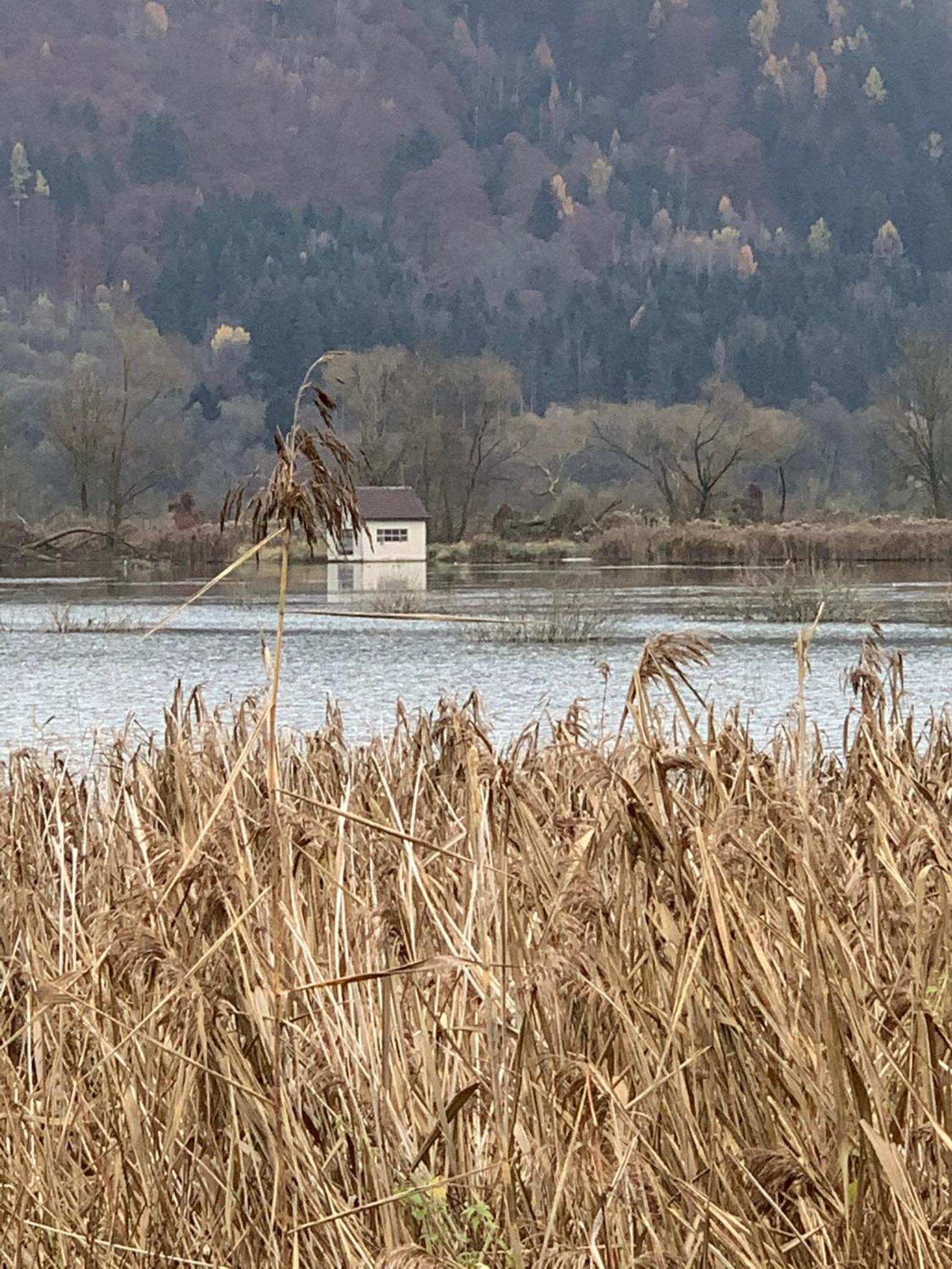 kleines Seeglück