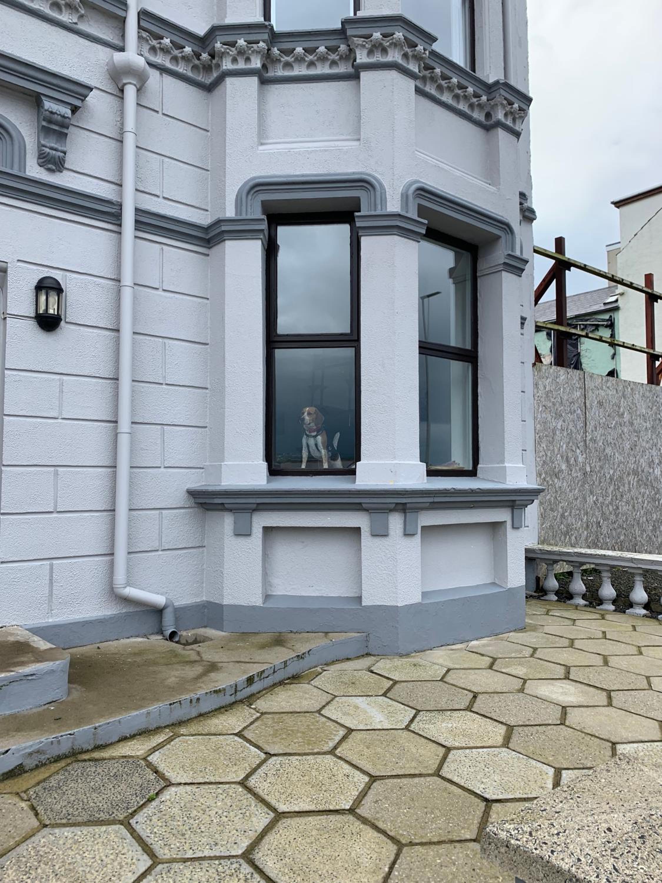 Photo 16