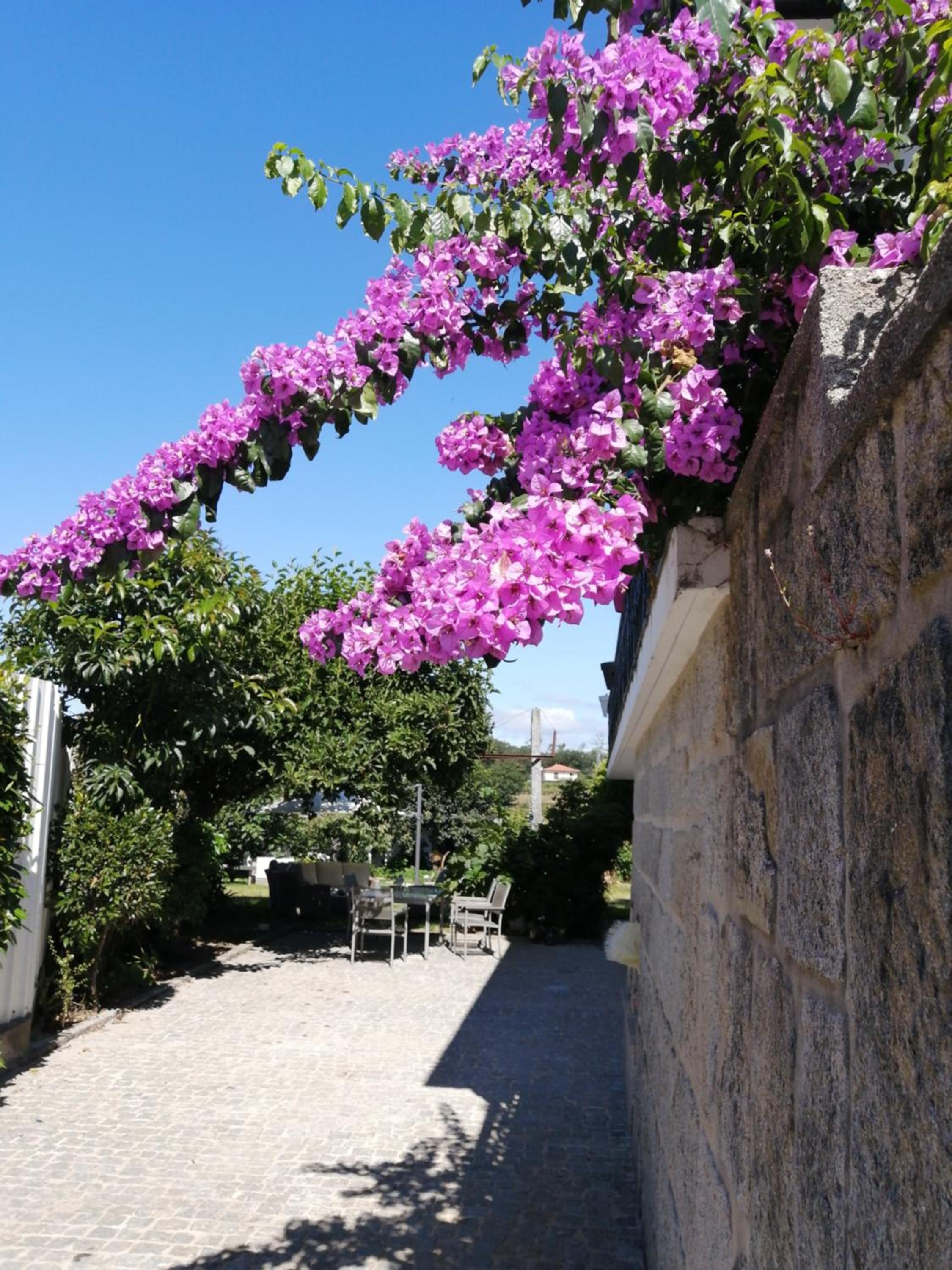 Photo 126