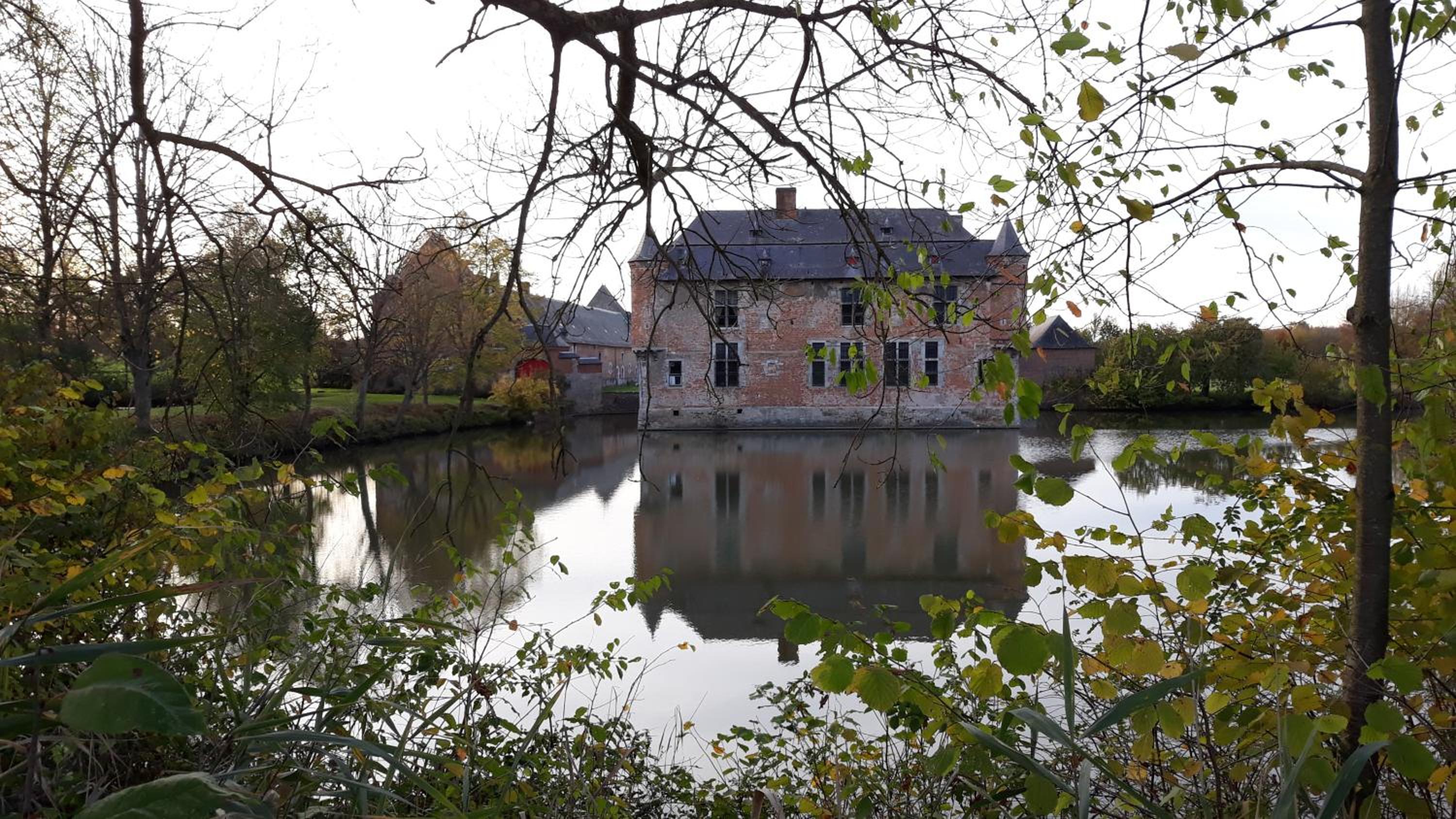 Gite avec piscine La Buissiere - Fernelmont