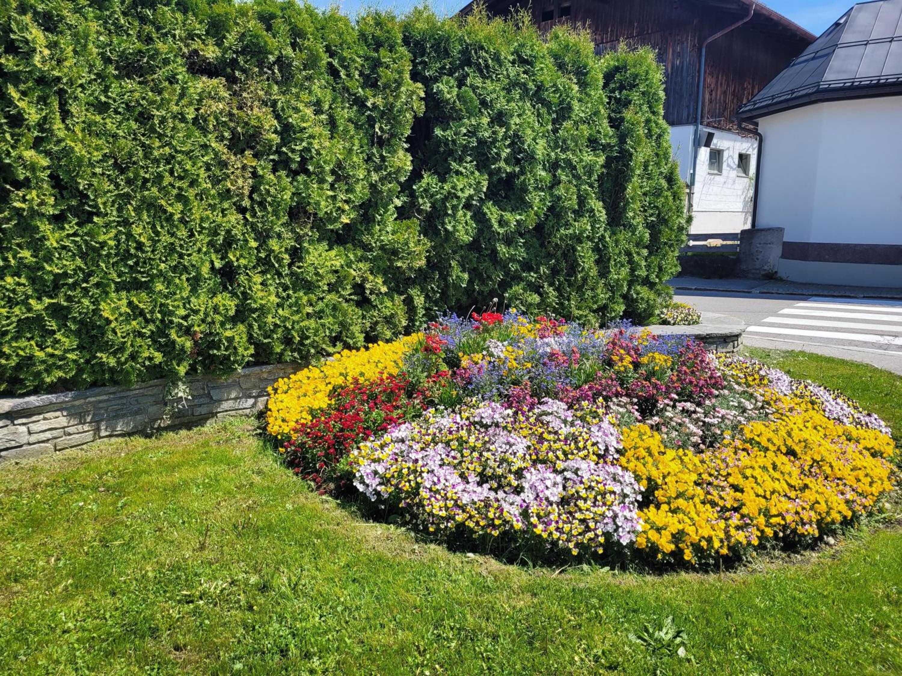 Ferienwohnung Schatz