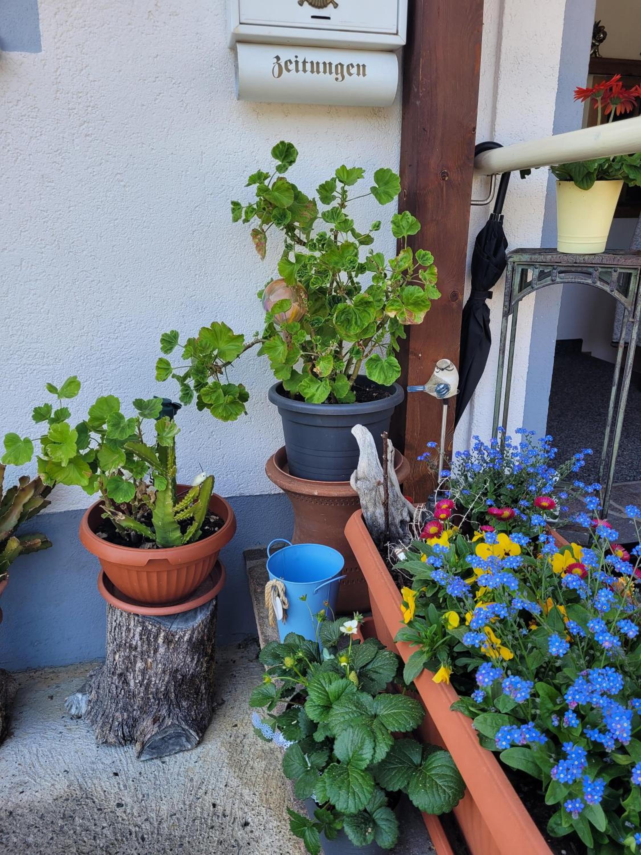 Ferienwohnung Schatz