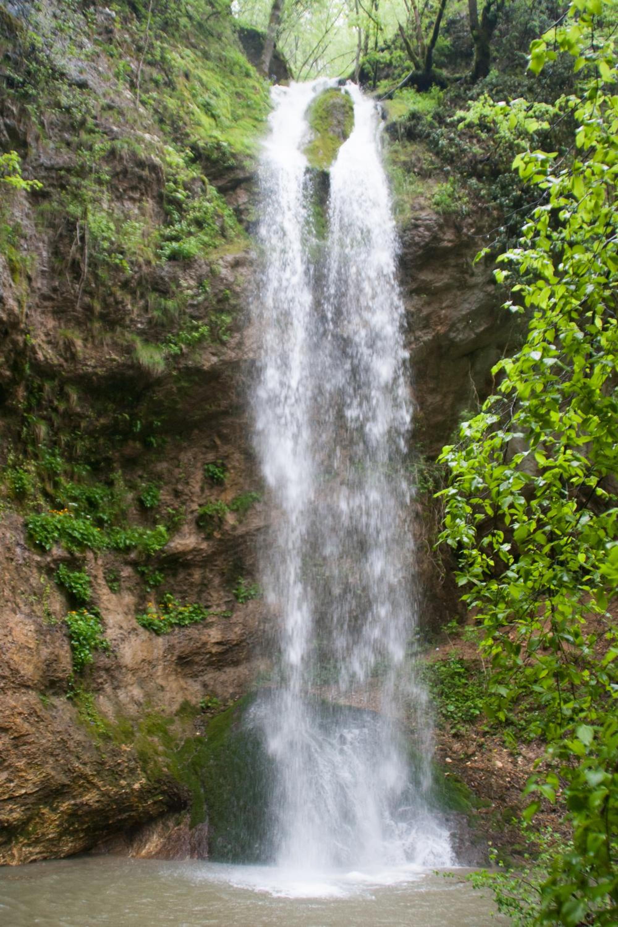 Photo 32