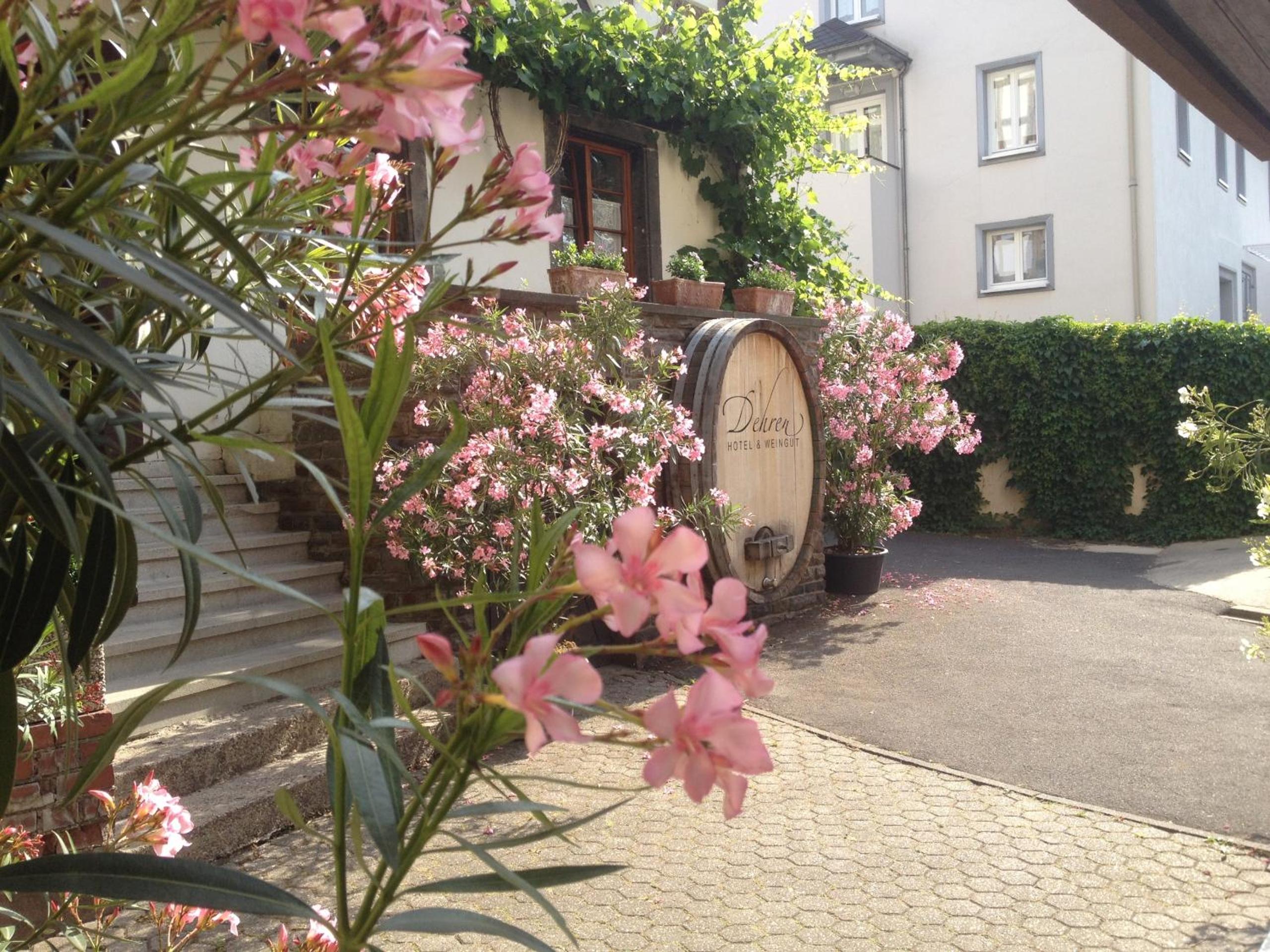 Hotel Weingut Dehren