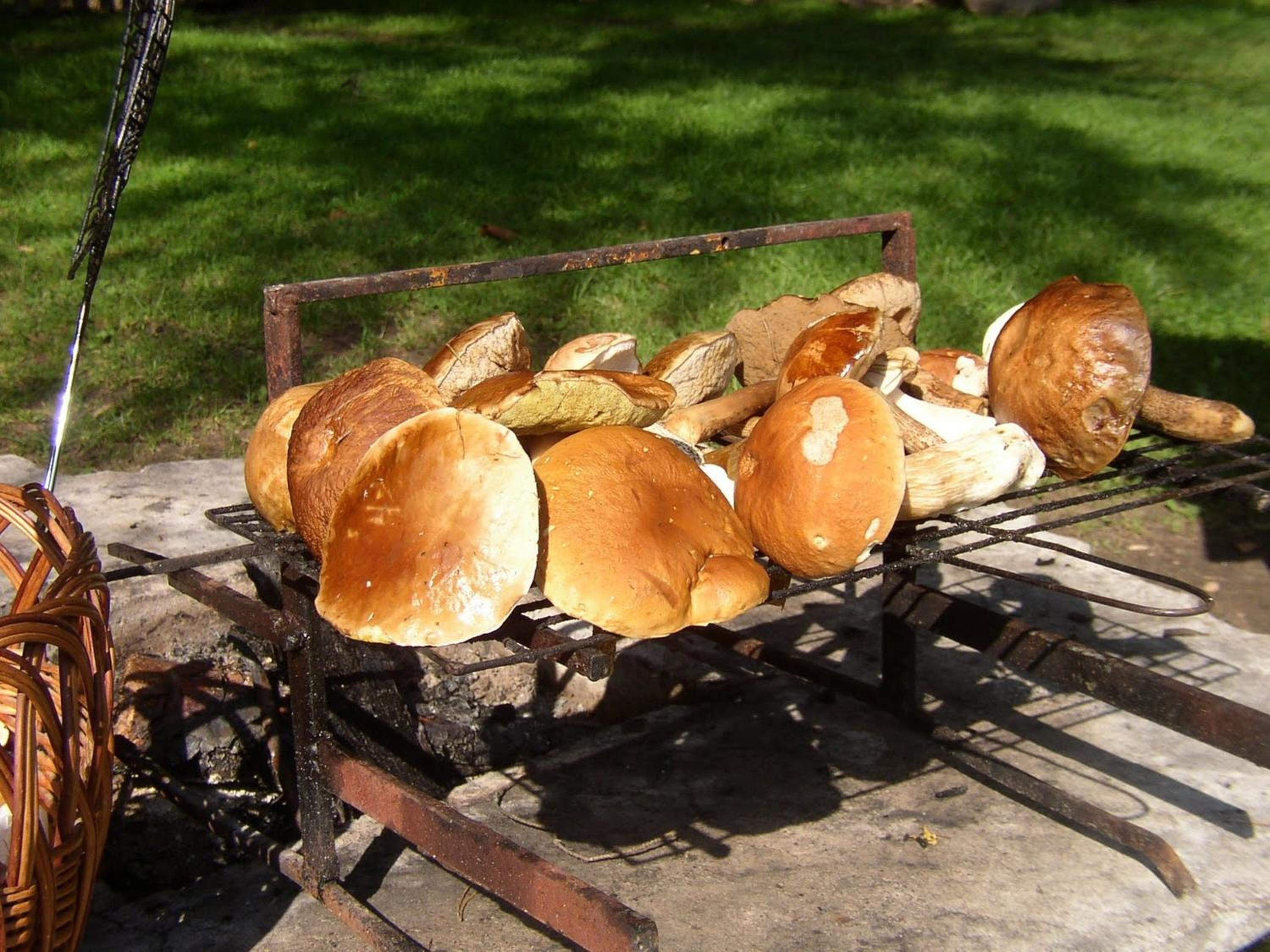 Photo 22