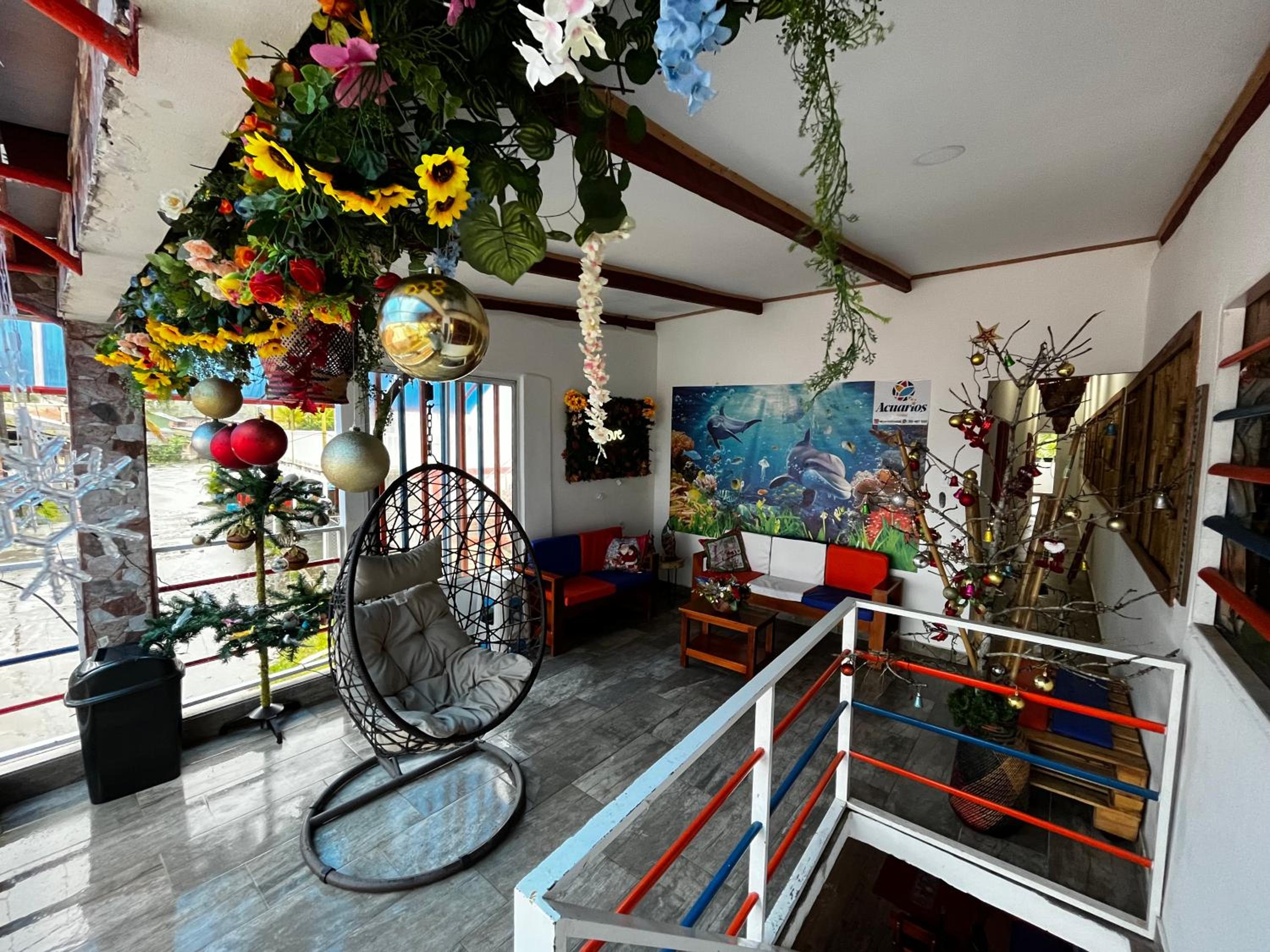 Acuarios Hostal